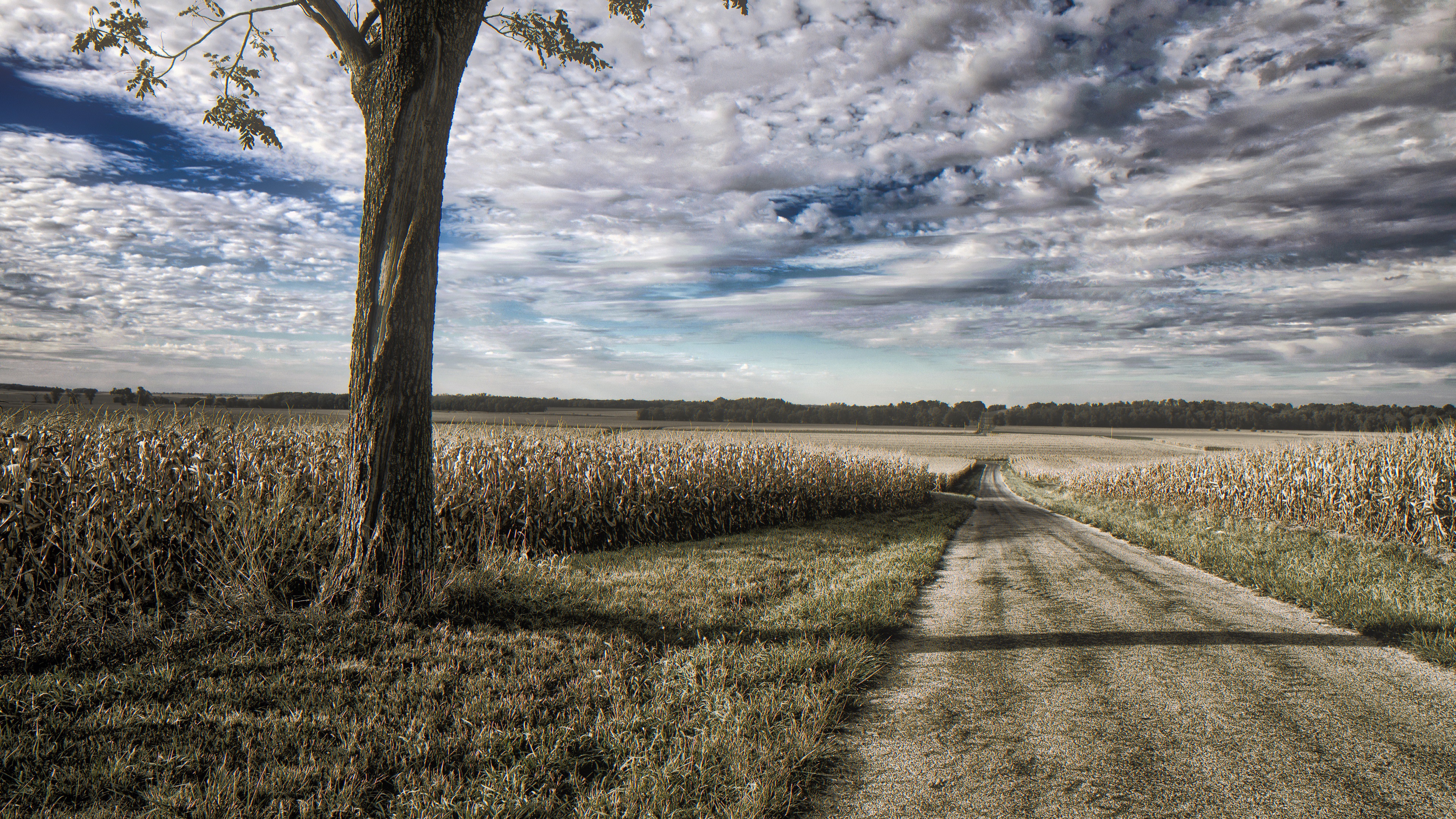 Download mobile wallpaper Horizon, Road, Tree, Field, Path, Cloud, Illinois, Man Made for free.