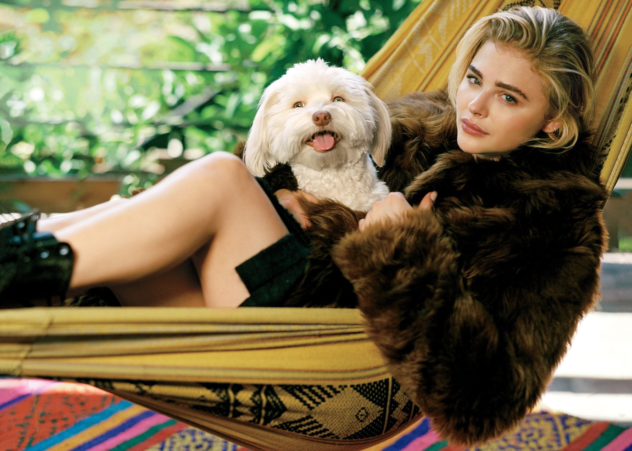 celebrity, chloë grace moretz, actress, american, blonde, dog, green eyes, hammock wallpapers for tablet