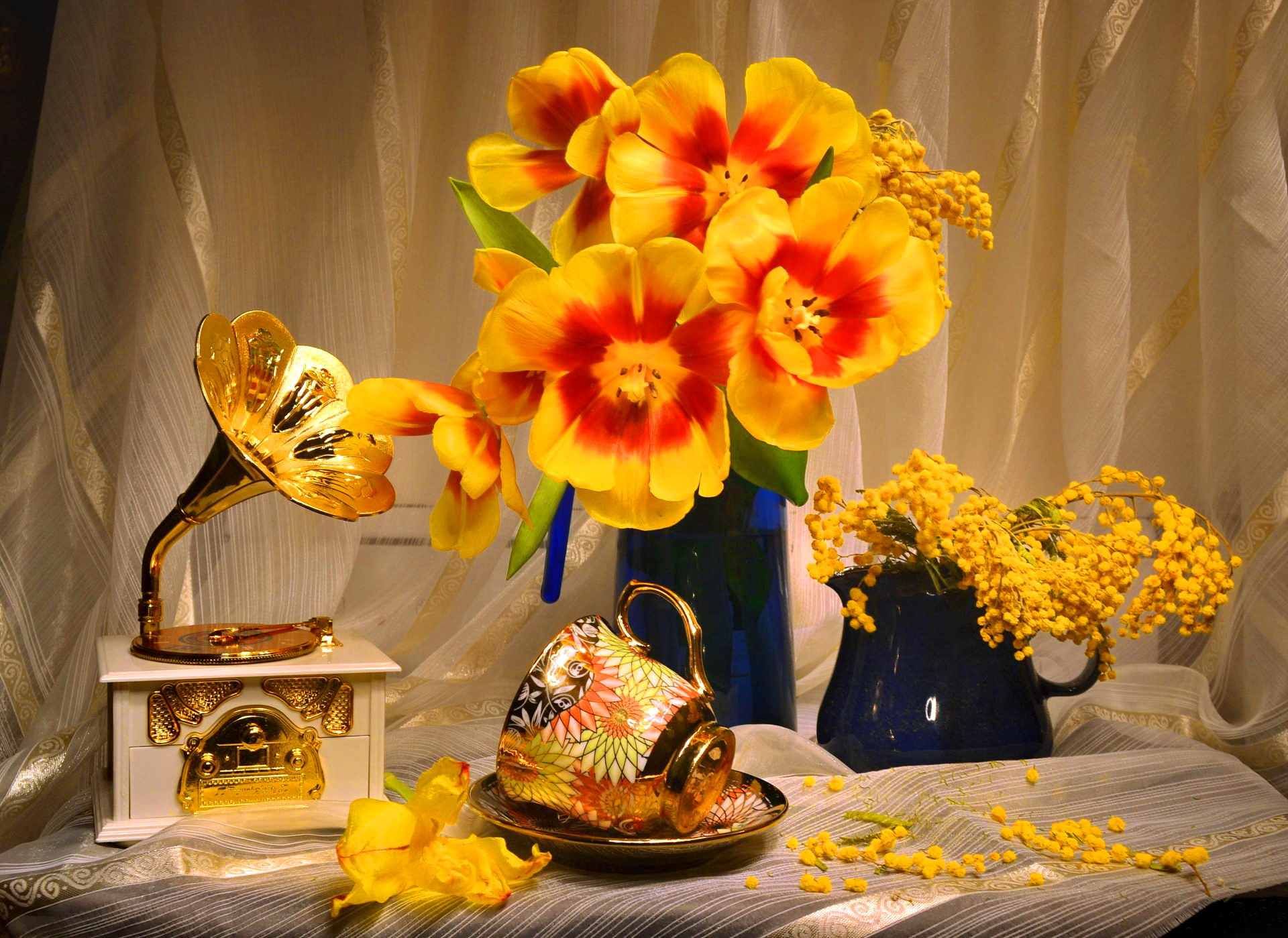photography, still life, cup, flower, gramophone, tulip, vase, yellow flower