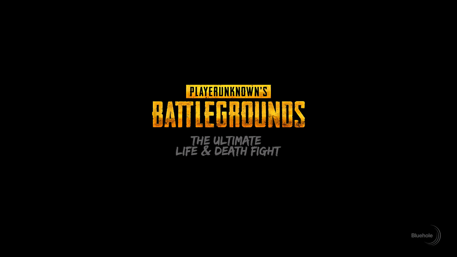 playerunknown's battlegrounds, video game