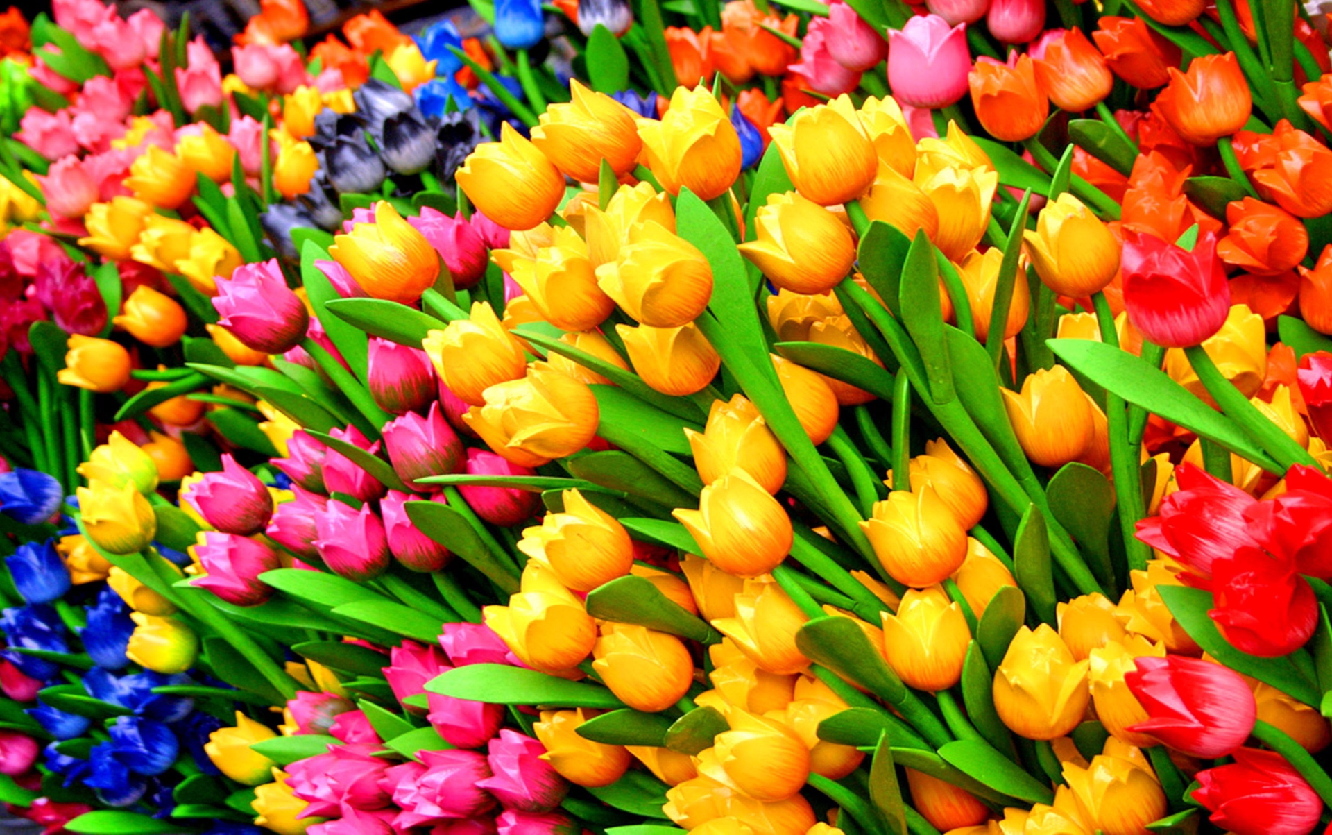 Весенние цветы на 8 марта