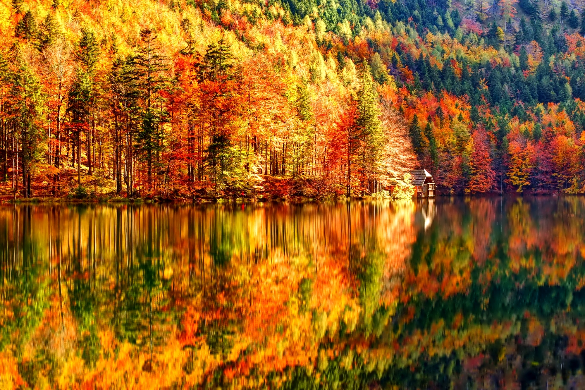 Осенний пейзаж. Осенний лес. Красивый осенний лес. Осень в лесу. Яркая осень.