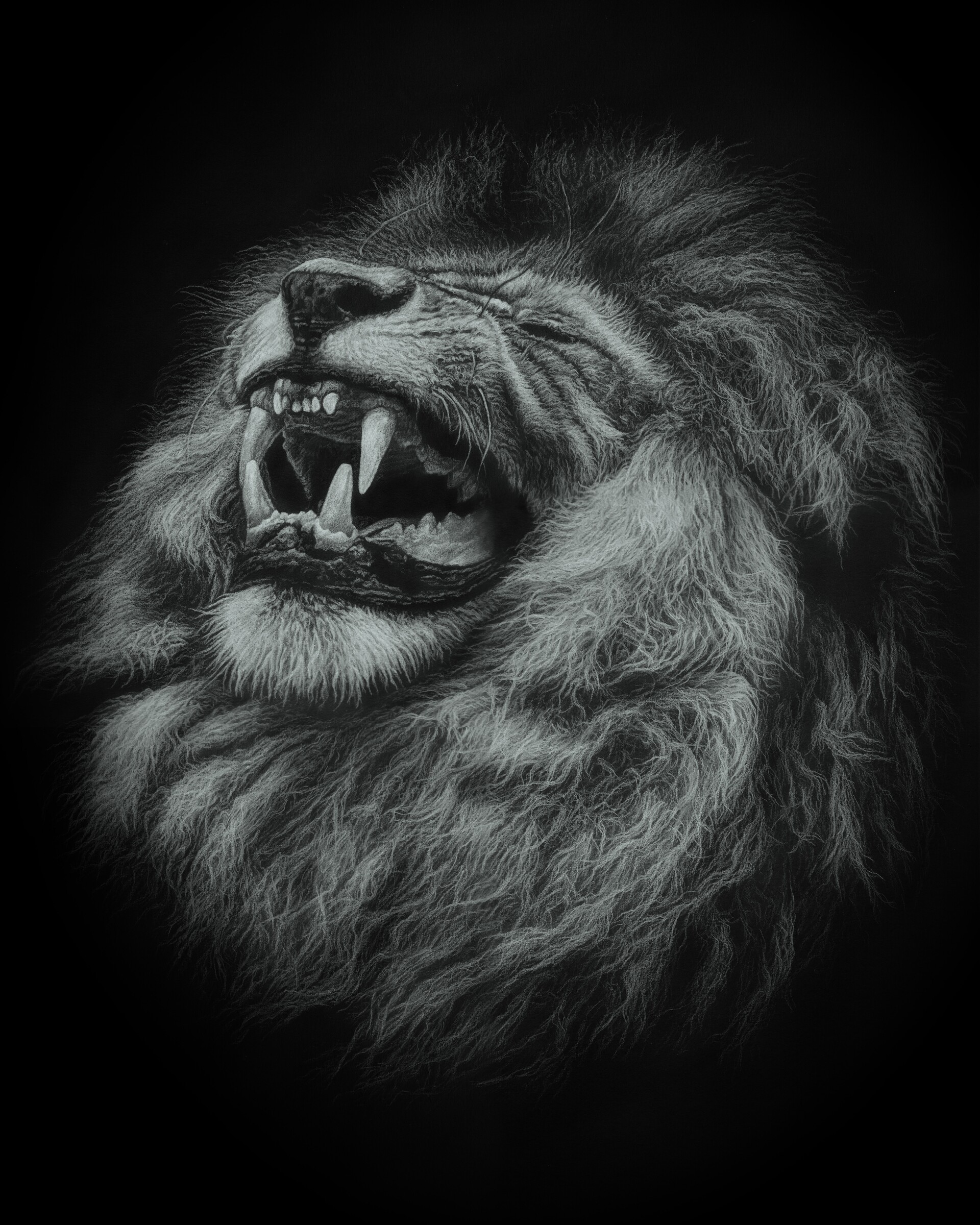 grin, art, lion, predator, big cat Free Stock Photo