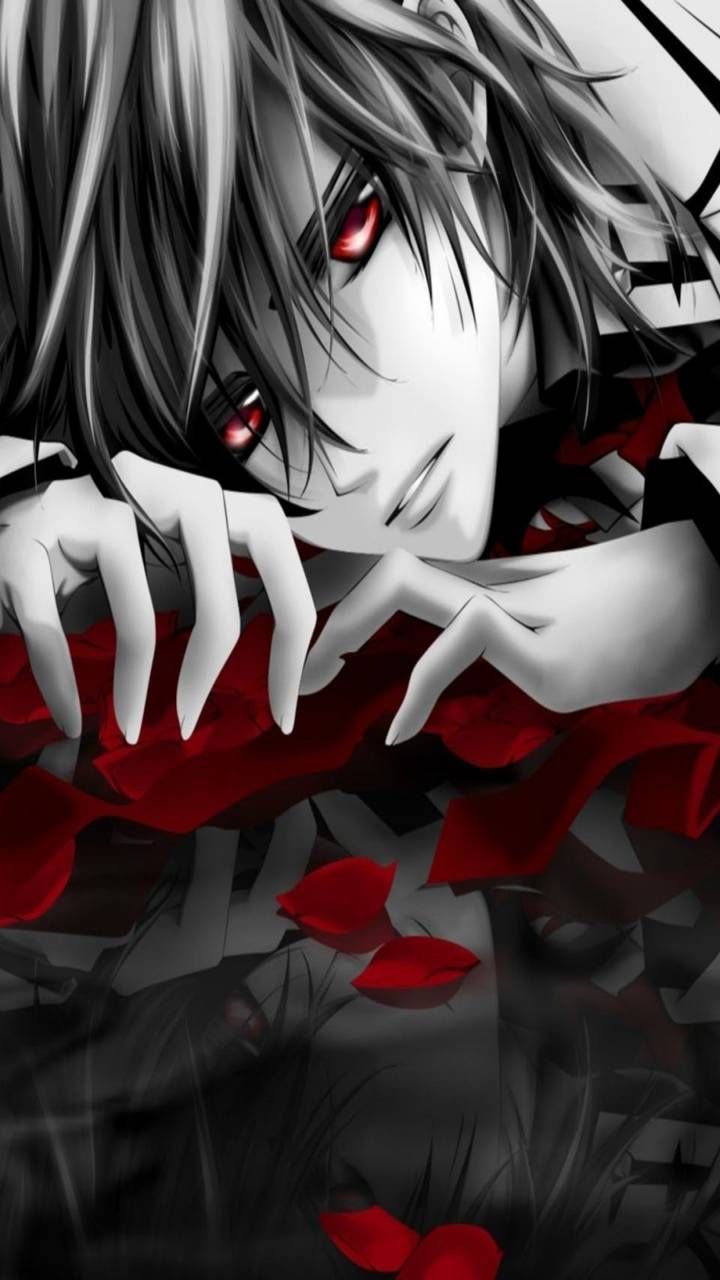 Download Black Anime Boy Kaname Kuran Vampire Knight Manga Wallpaper