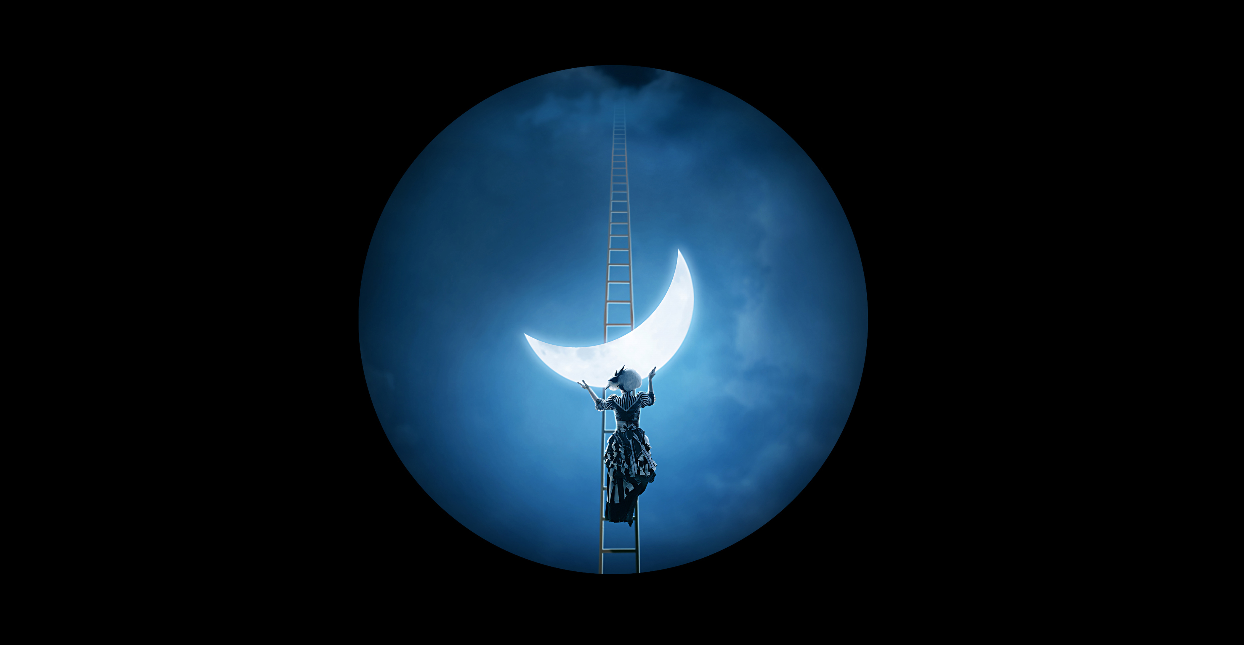 artistic, moon, crescent, ladder