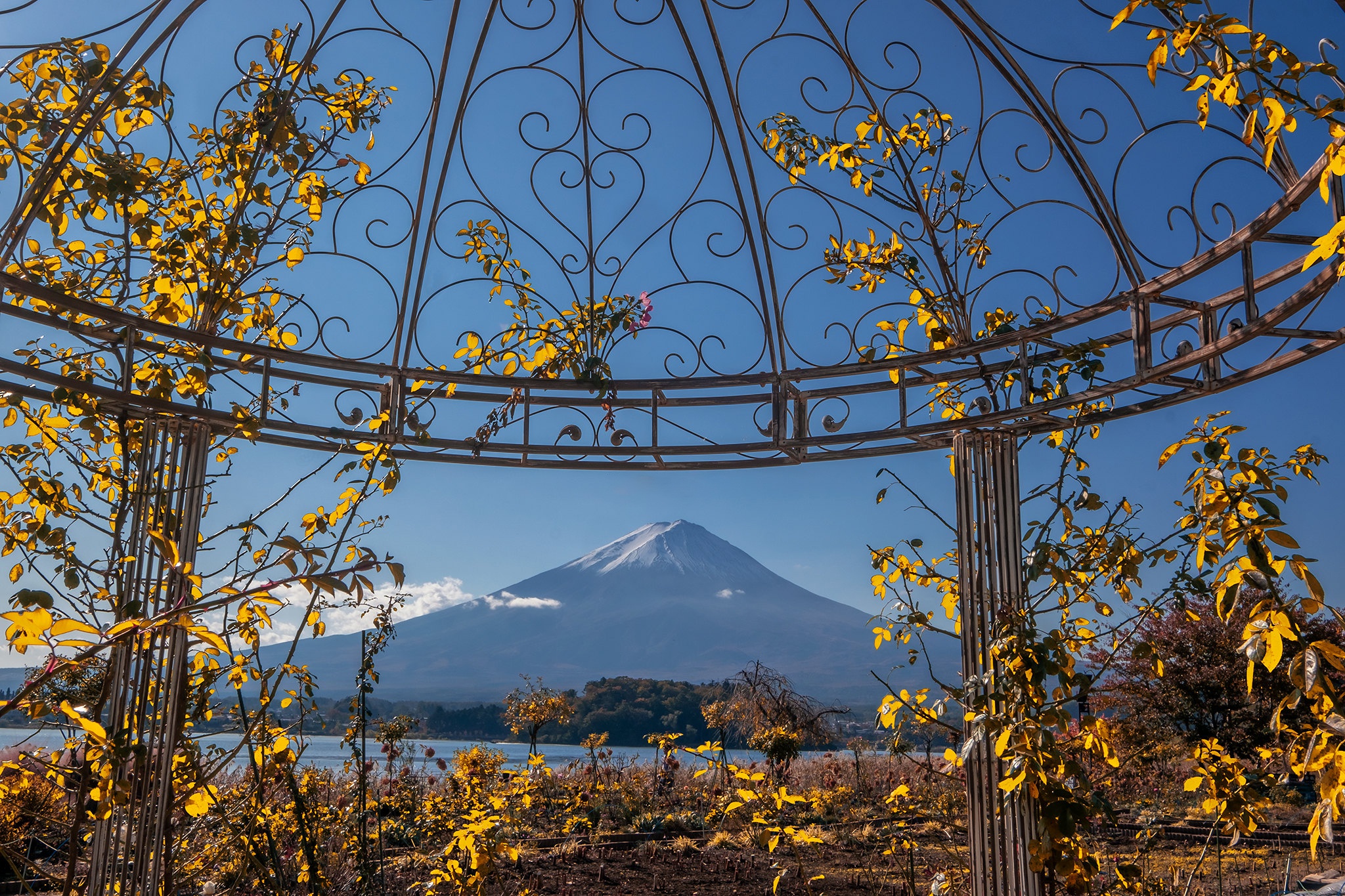 484868画像をダウンロード富士山, 地球, 藤山, 火山-壁紙とスクリーンセーバーを無料で