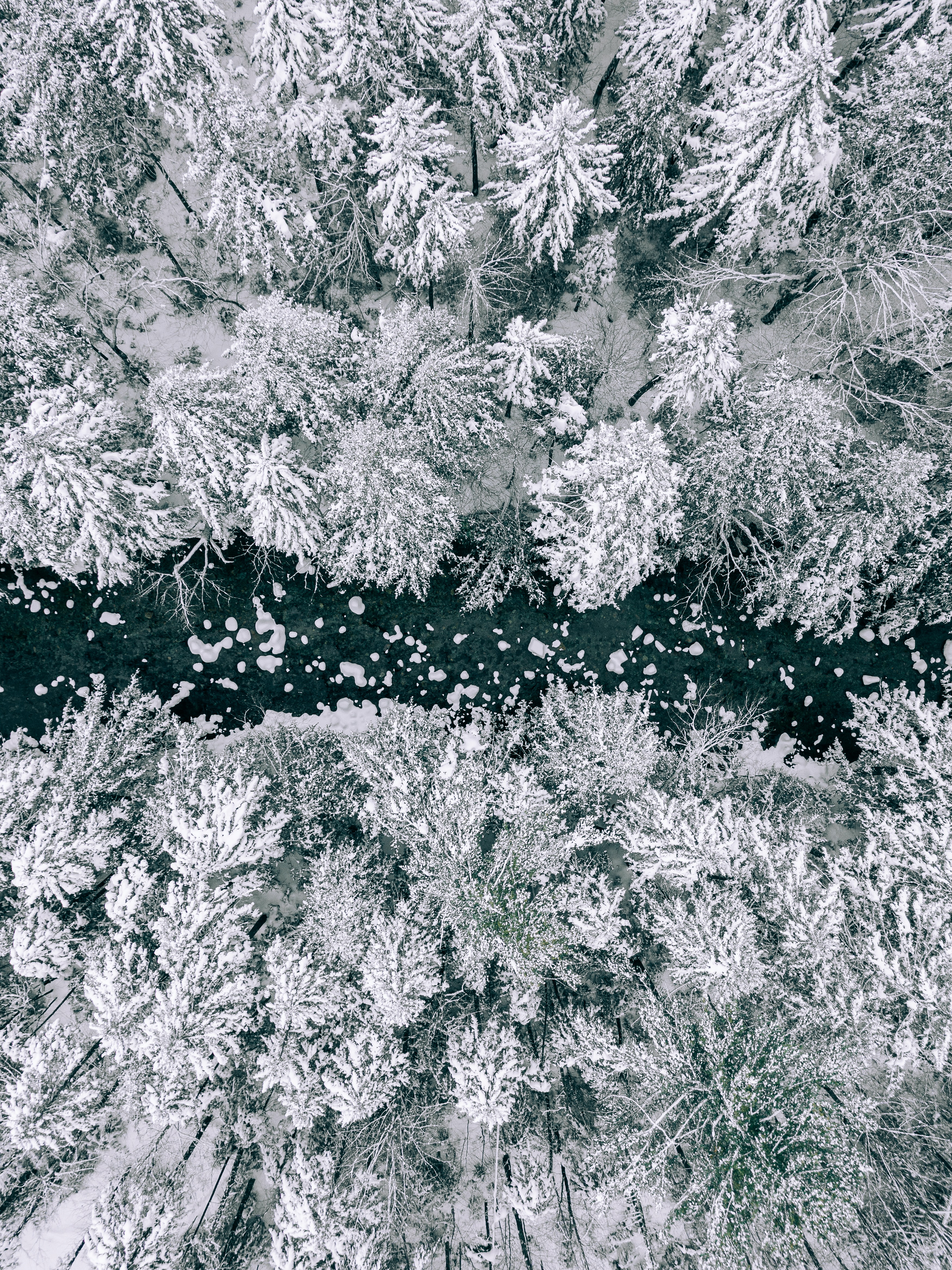 Free download wallpaper Rivers, Snow, View From Above, Forest, Winter, Nature on your PC desktop