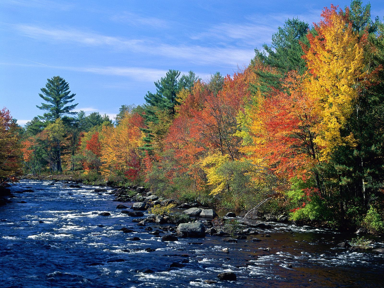 Laden Sie das Herbst, Bäume, Fließen, Natur, Fluss, Flüsse-Bild kostenlos auf Ihren PC-Desktop herunter