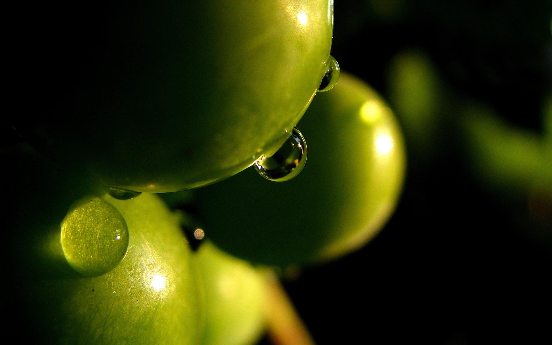 food, olive images