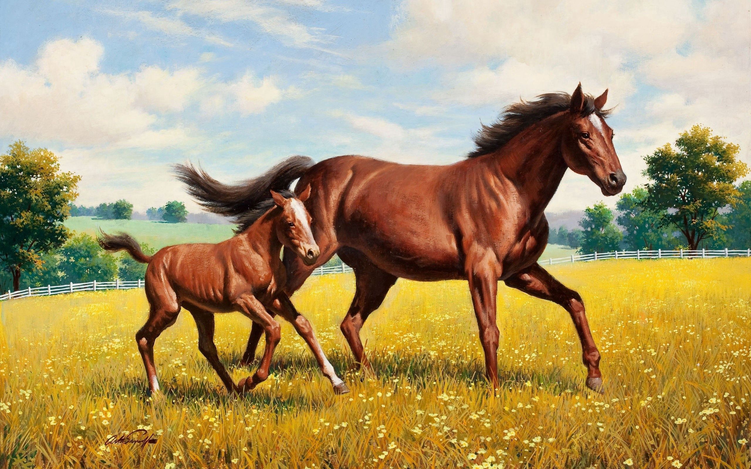 145251 Hintergrundbild herunterladen tiere, grass, polyana, glade, pferd, lauf, ausgeführte, hengst - Bildschirmschoner und Bilder kostenlos