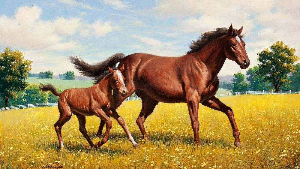 Слушать про лошадку. «Лошадь с жеребенком» а. Горбатова.. Лошадь с жеребенком живопись. Конь и жеребенок. Вышивка крестом лошадь с жеребенком.