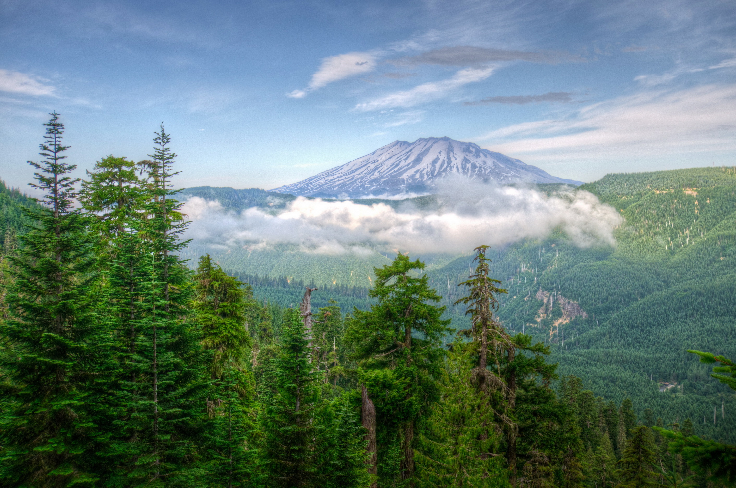PCデスクトップに自然, 木, 米国, ワシントン, 山脈, 霧, Hdr画像を無料でダウンロード