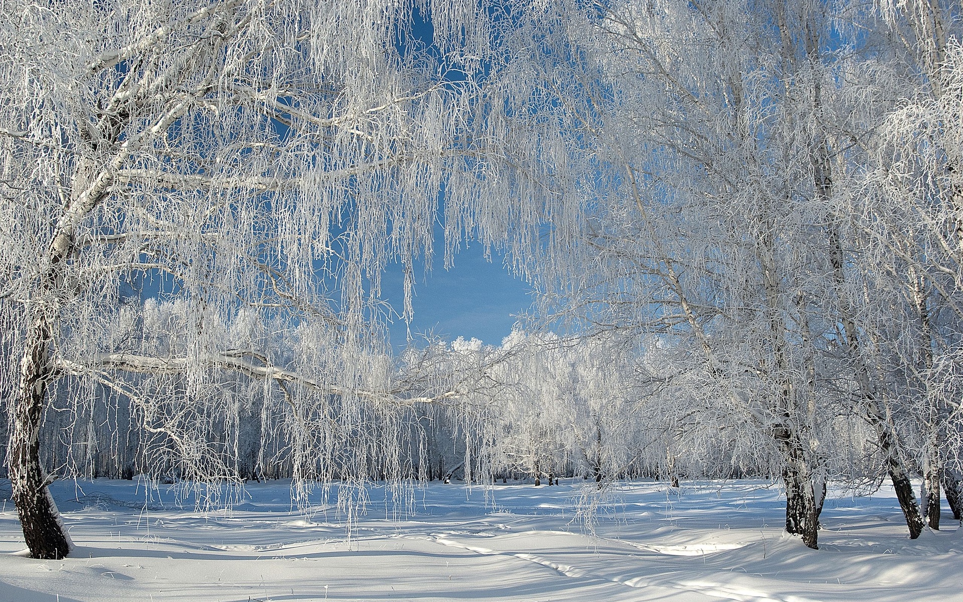Стихотворение о зиме Есенин белая береза