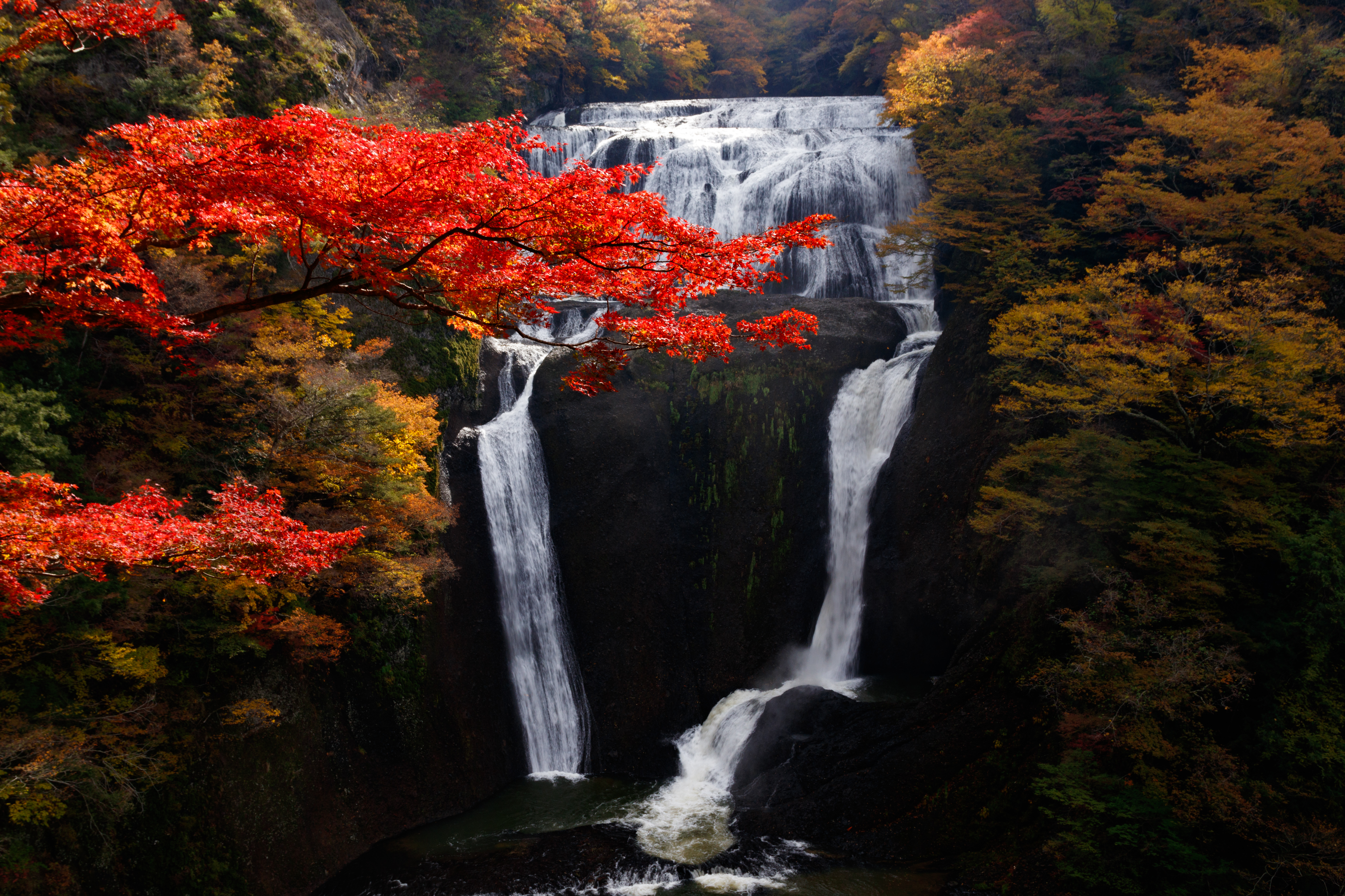 break, nature, trees, autumn, waterfall, precipice, flow Free Stock Photo