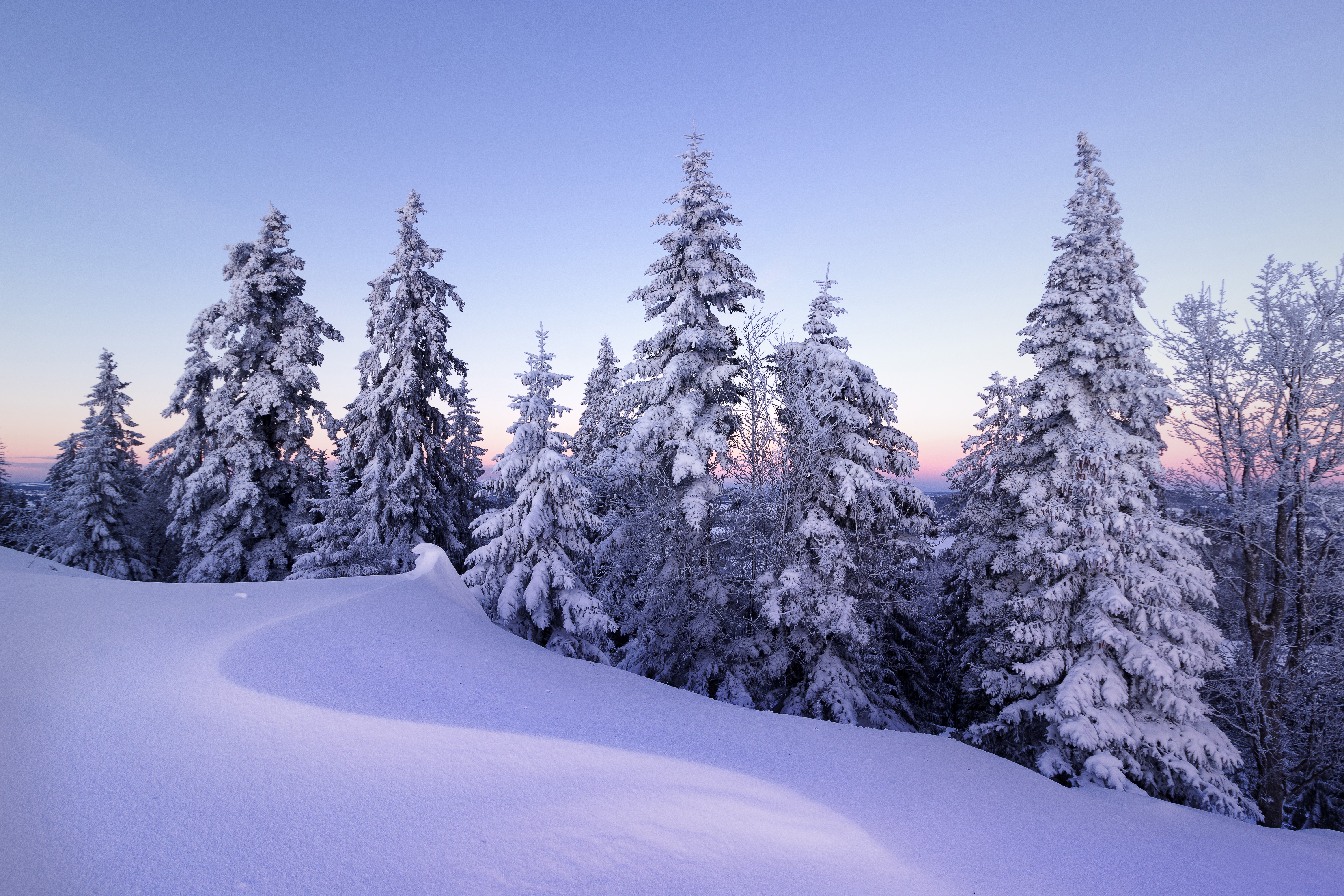 earth, winter, snow, spruce, switzerland