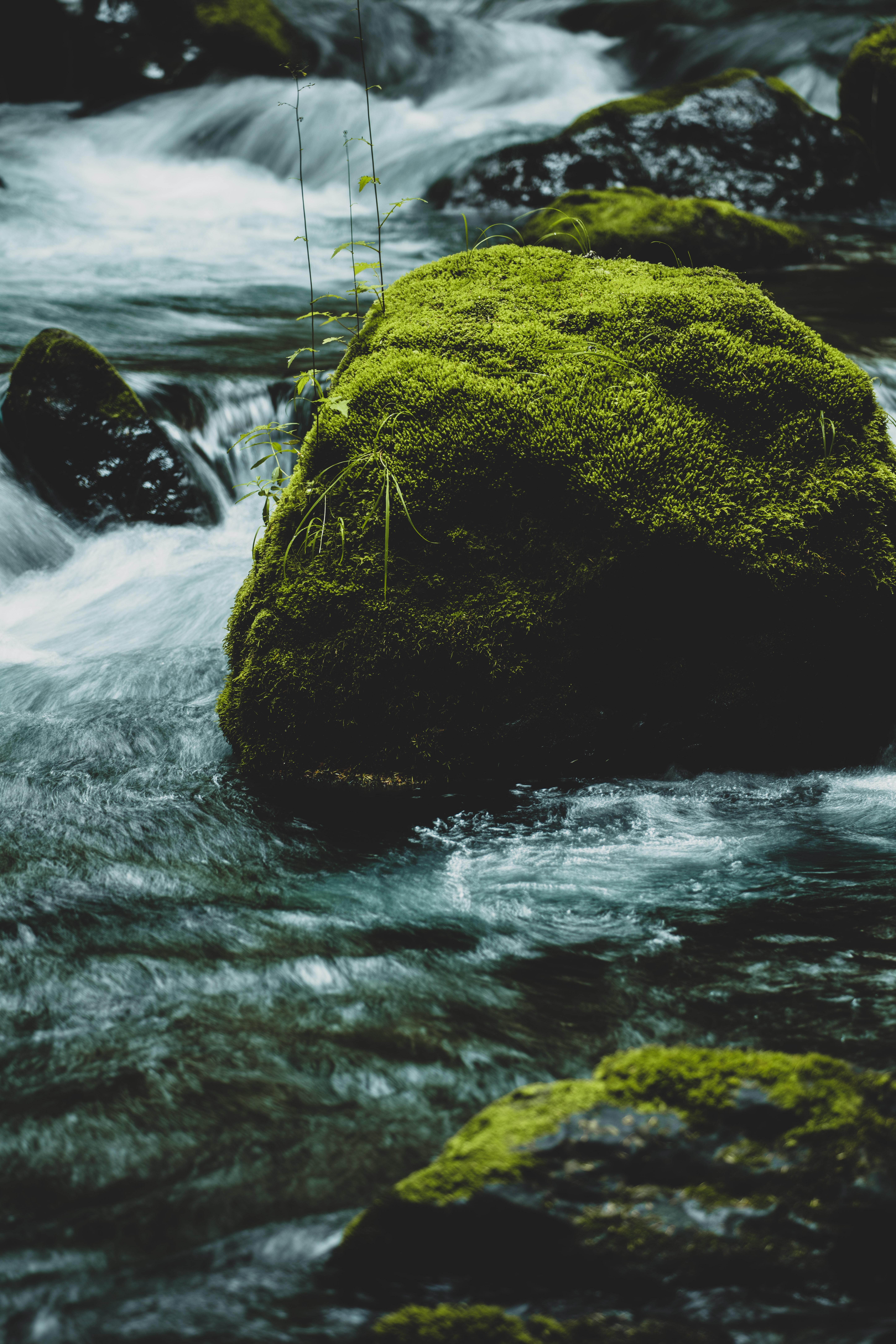 Download mobile wallpaper Moss, Rock, Stream, Stone, Flow, Rivers, Water, Nature for free.