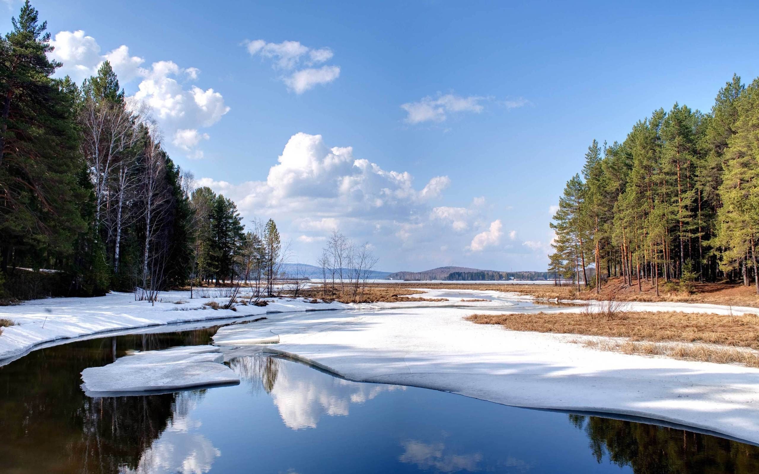 ice, landscape, rivers, trees, sky, clouds, blue