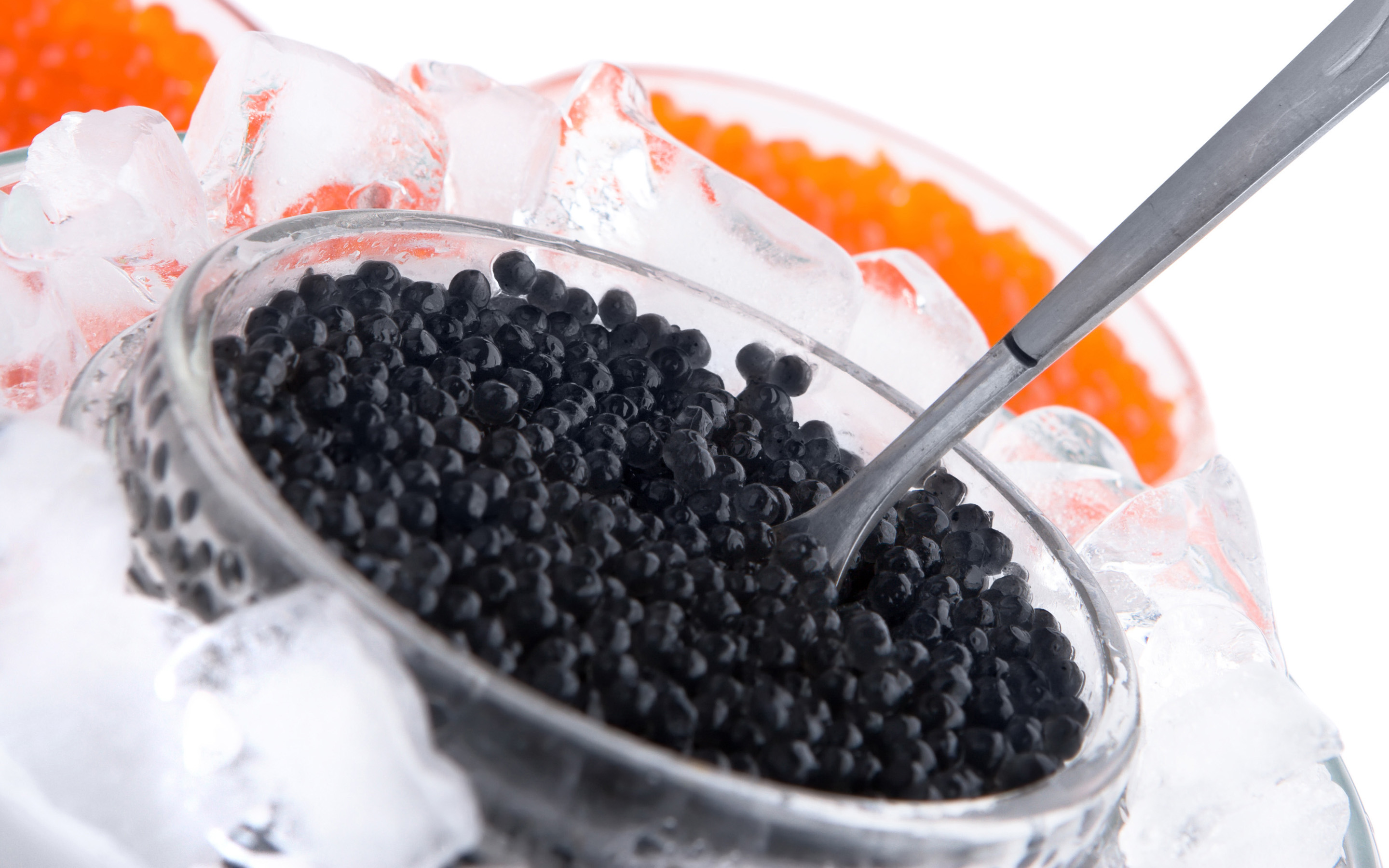 food, caviar wallpaper for mobile