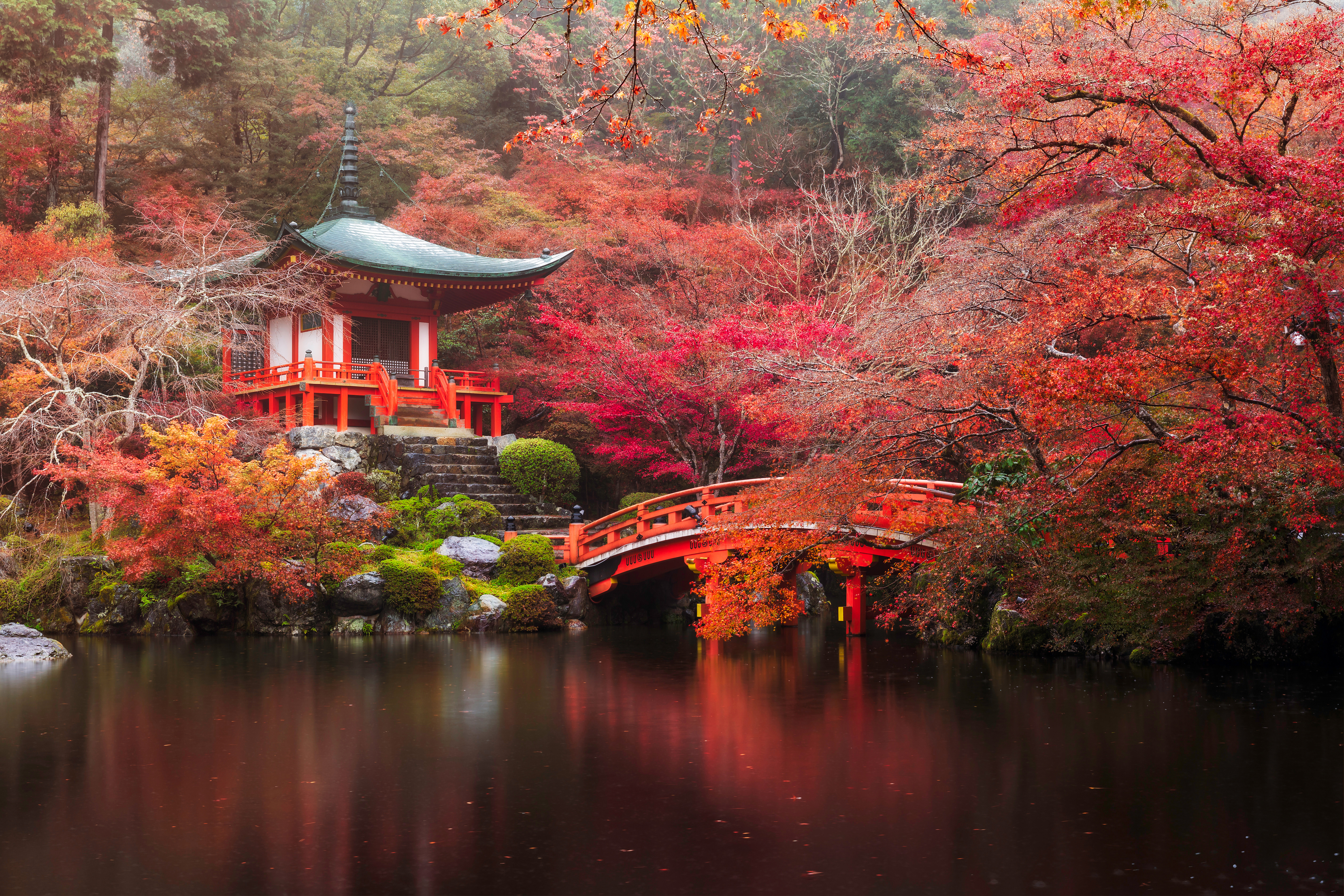 japan, park, temples, nature, religious, daigo ji, bridge, fall, kyoto, pagoda, pond, tree