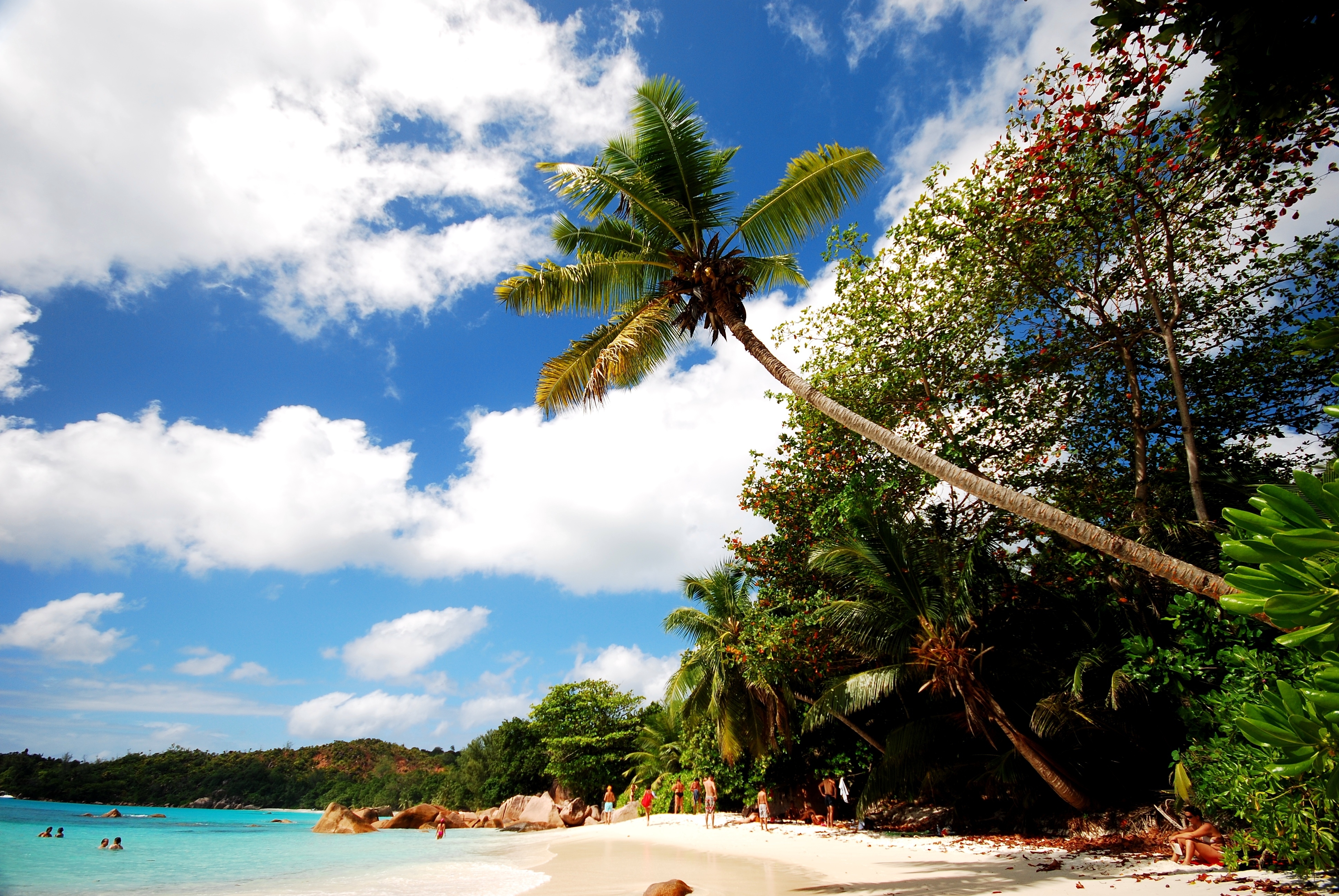 Laden Sie das Bank, Sand, Natur, Ufer, Palms, Strand-Bild kostenlos auf Ihren PC-Desktop herunter