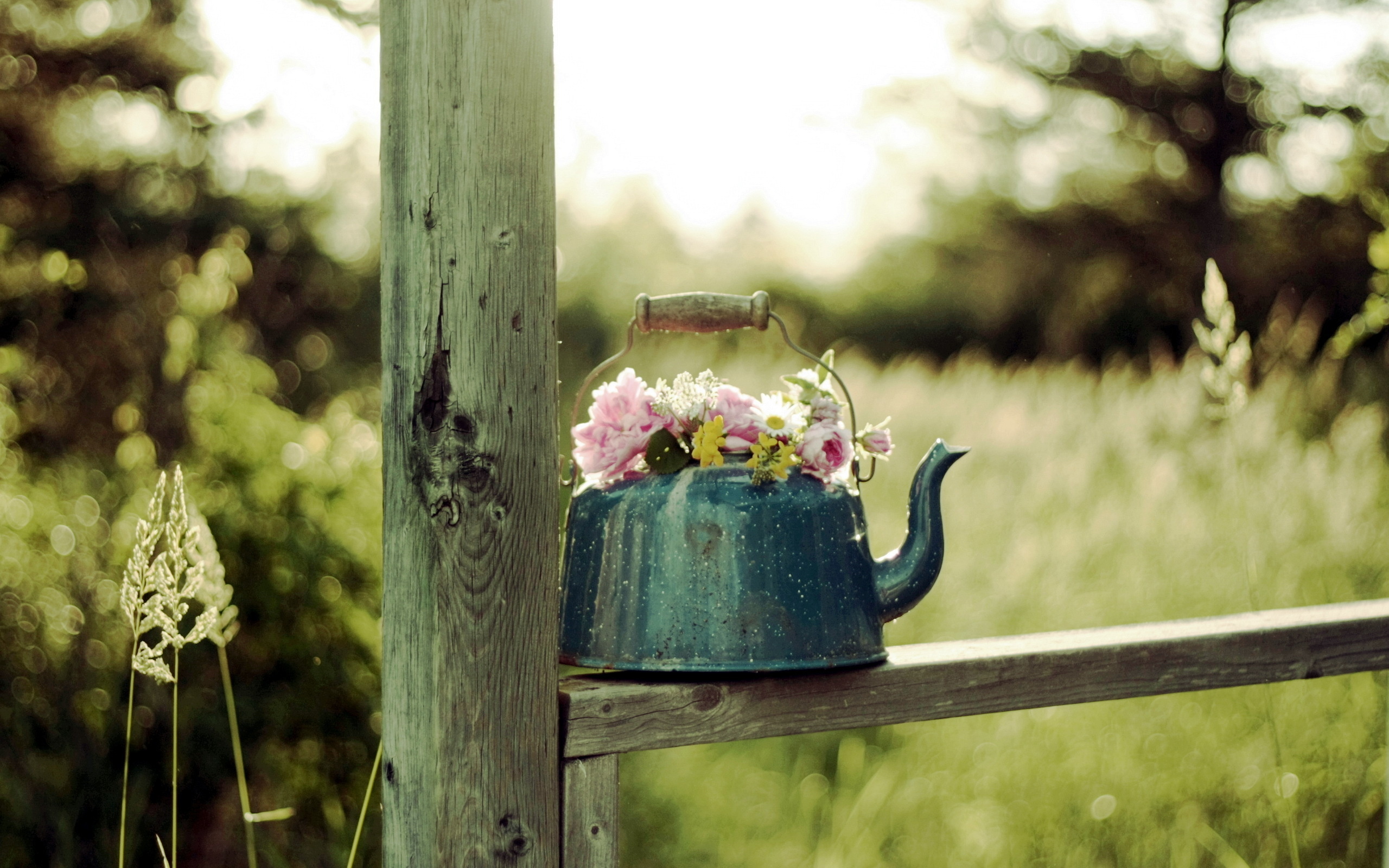man made, flower, teapot