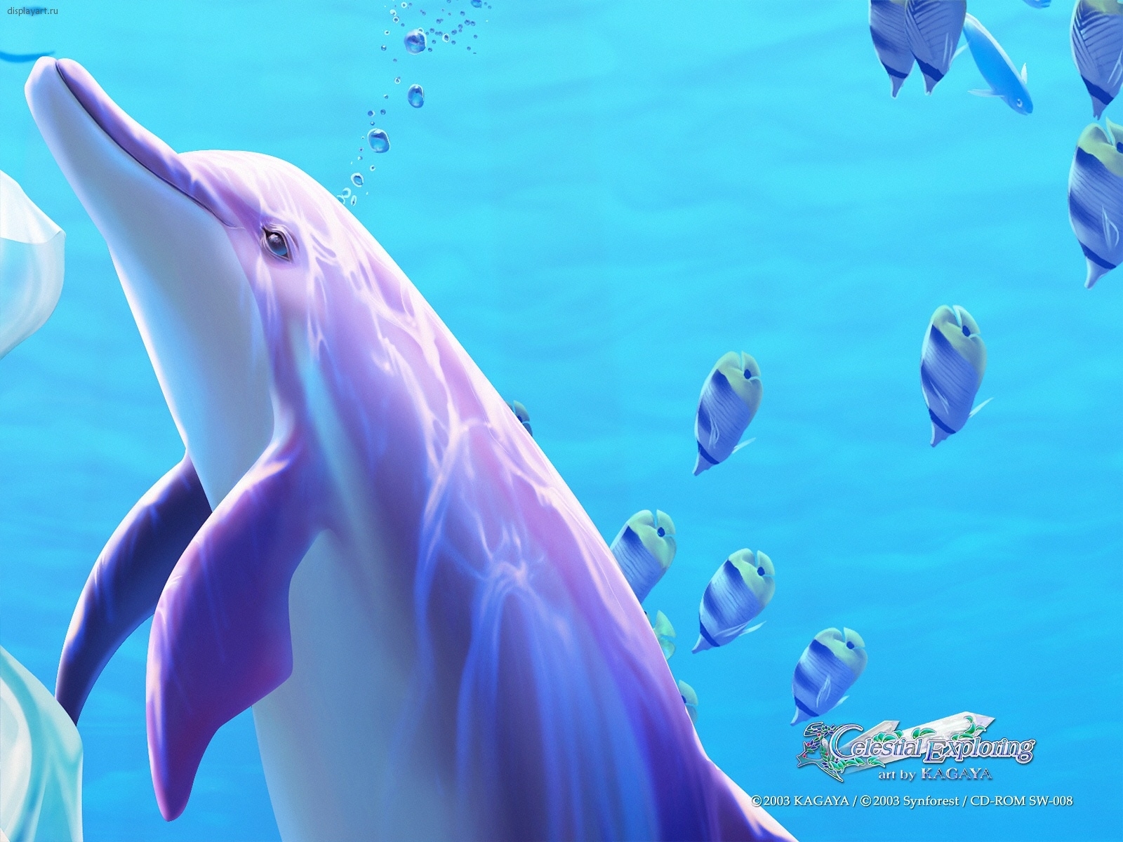 Descarga gratuita de fondo de pantalla para móvil de Delfines, Agua, Animales, Mar, Imágenes.