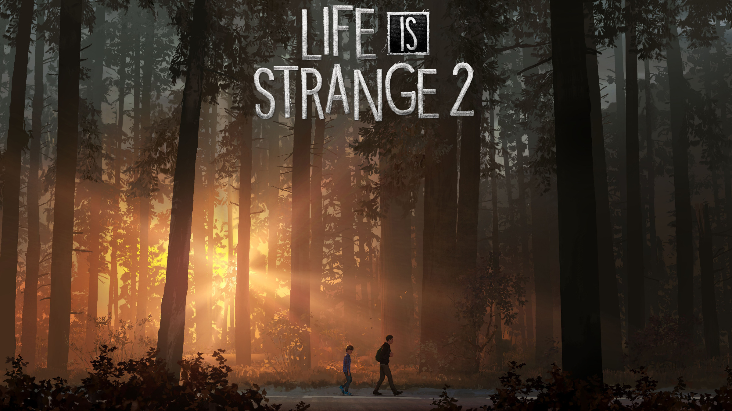 Life is Strange 2 обложка