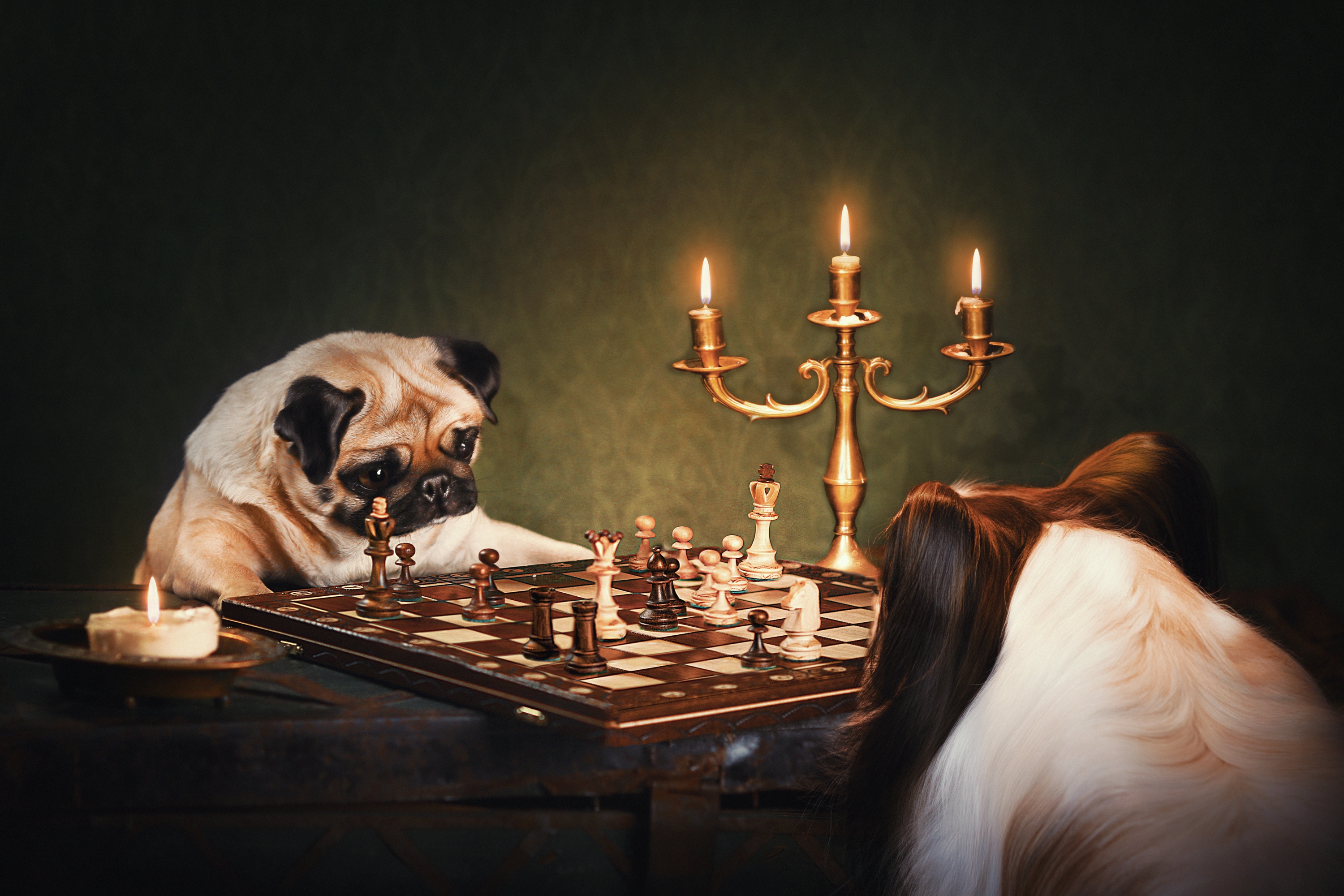 Chess Wallpapers on WallpaperDog