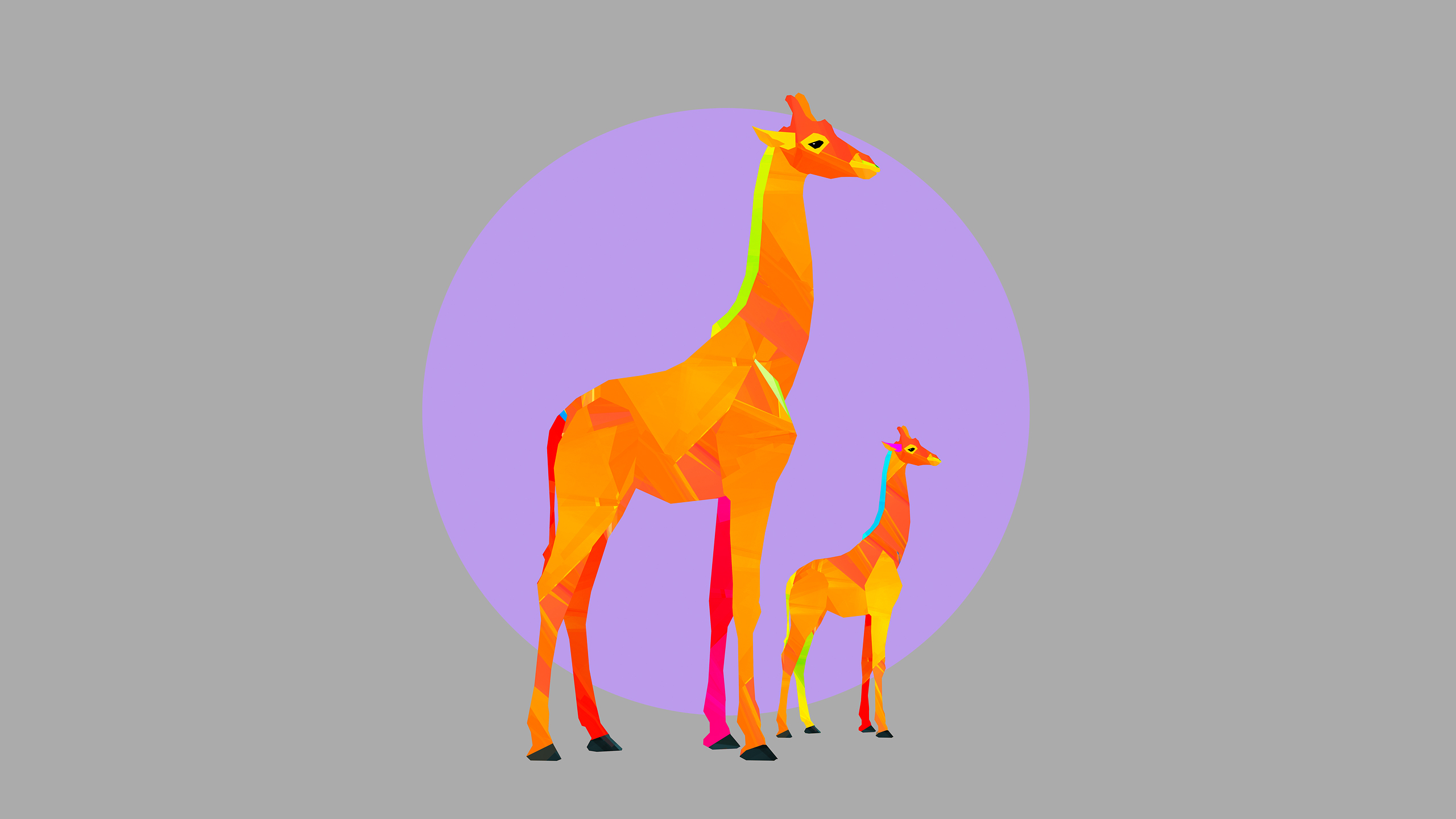 Рисунок жирафа. Жираф Минимализм рисунок. Обои с жирафами. Жираф обои.