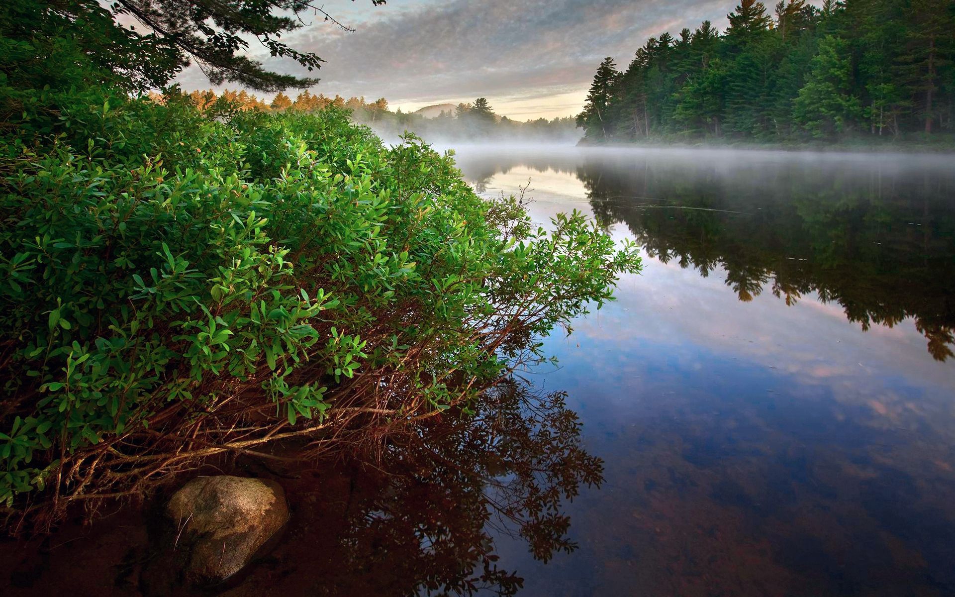 Laden Sie das Stille, Wasser, Bush, See, Wald, Nebel, Glatt, Stein, Ein Stein, Dampf, Natur, Oberfläche-Bild kostenlos auf Ihren PC-Desktop herunter
