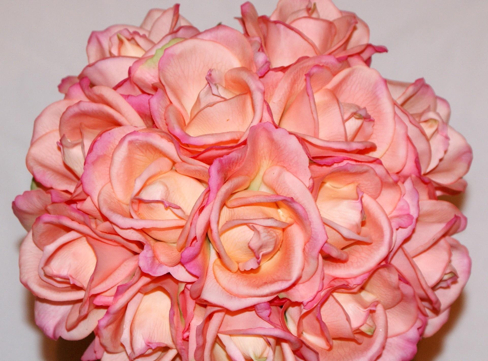 Laden Sie das Blütenblätter, Strauß, Bouquet, Nahansicht, Roses, Nahaufnahme, Ball, Blumen-Bild kostenlos auf Ihren PC-Desktop herunter