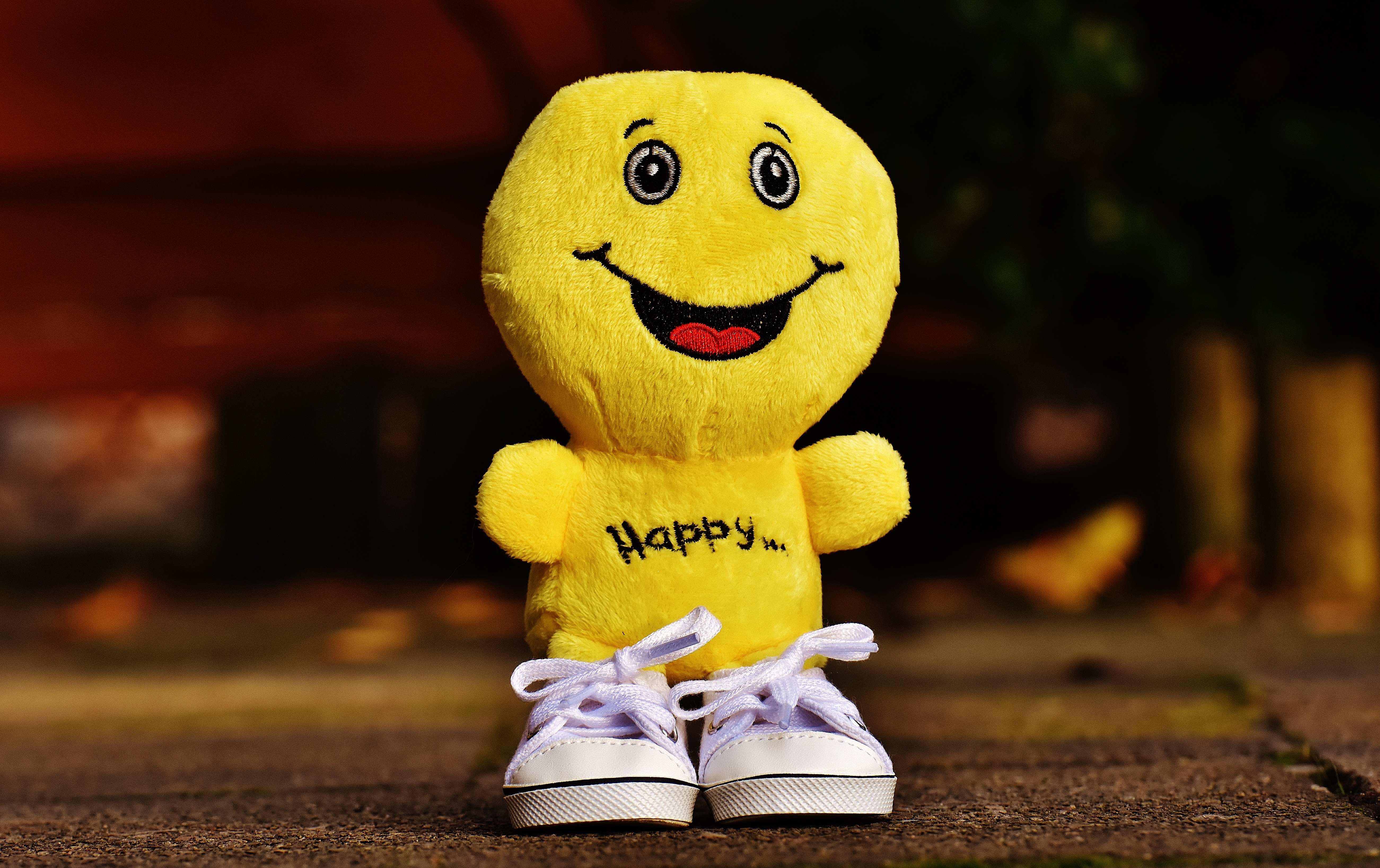 wallpapers happiness, miscellanea, toy, smiley, emoticon, smile, miscellaneous