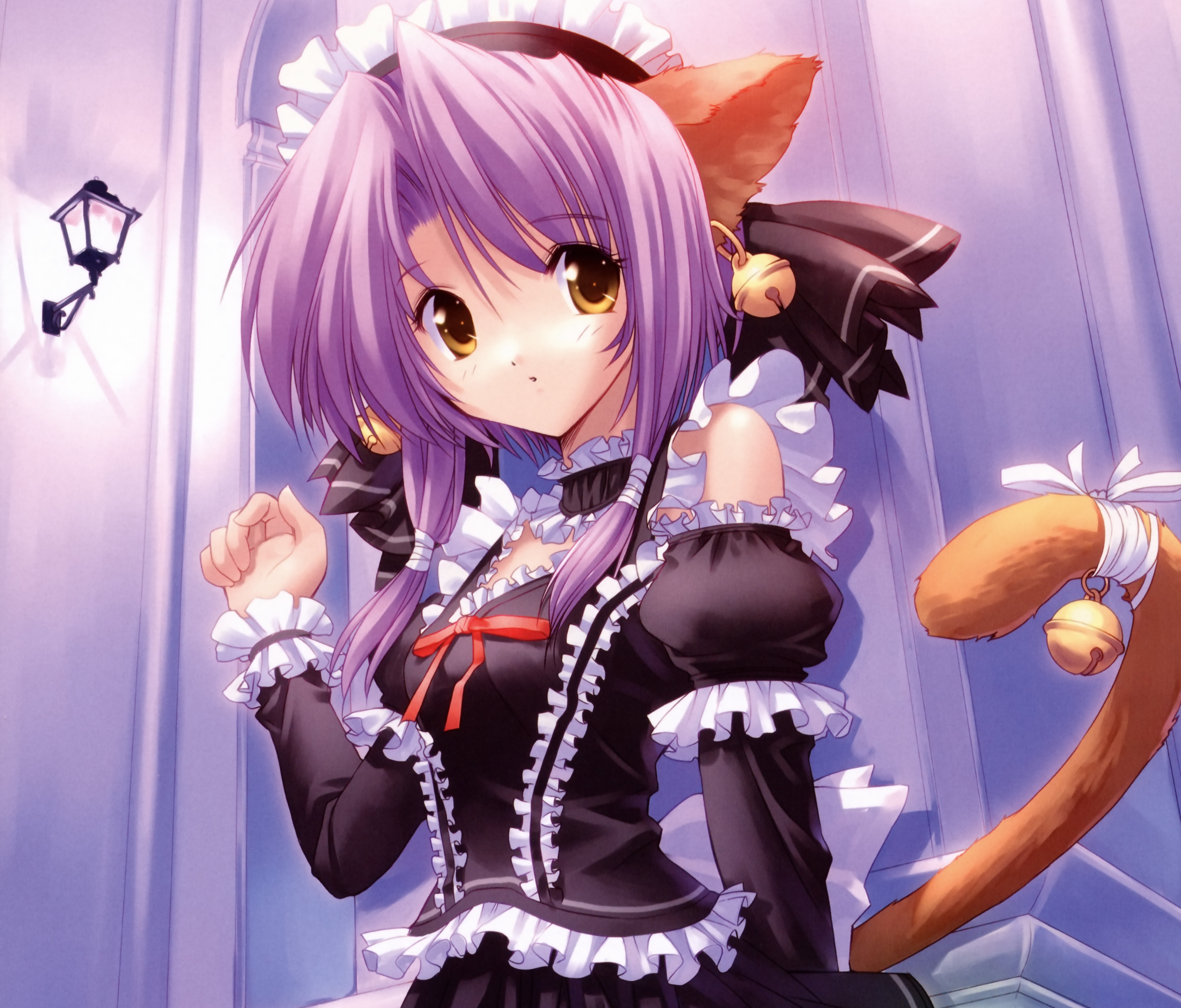 Anime Girl Cat Maid HD wallpaper  Peakpx