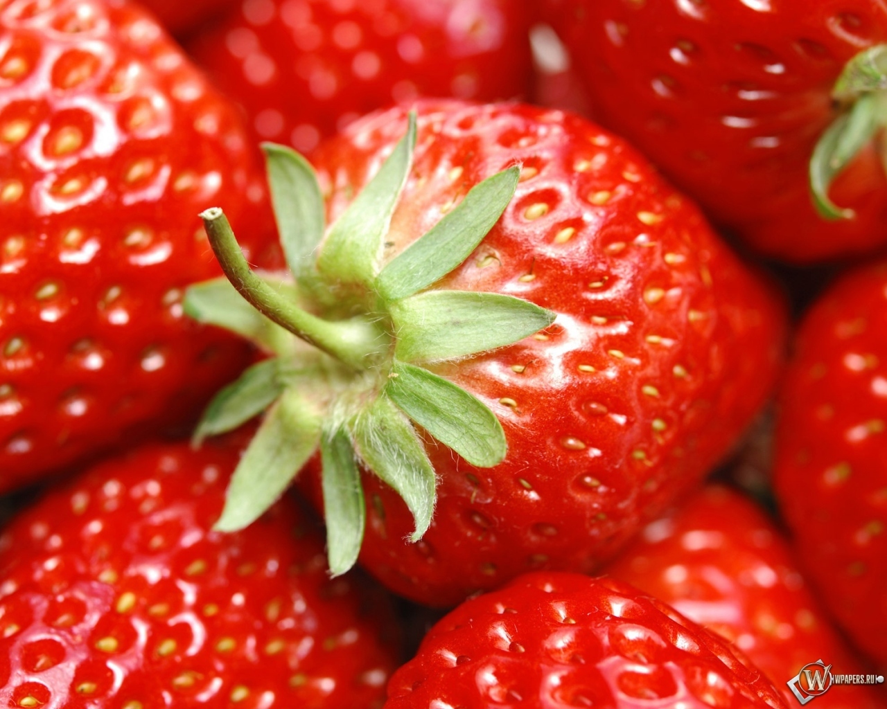 Handy-Wallpaper Obst, Lebensmittel, Berries, Erdbeere, Hintergrund kostenlos herunterladen.