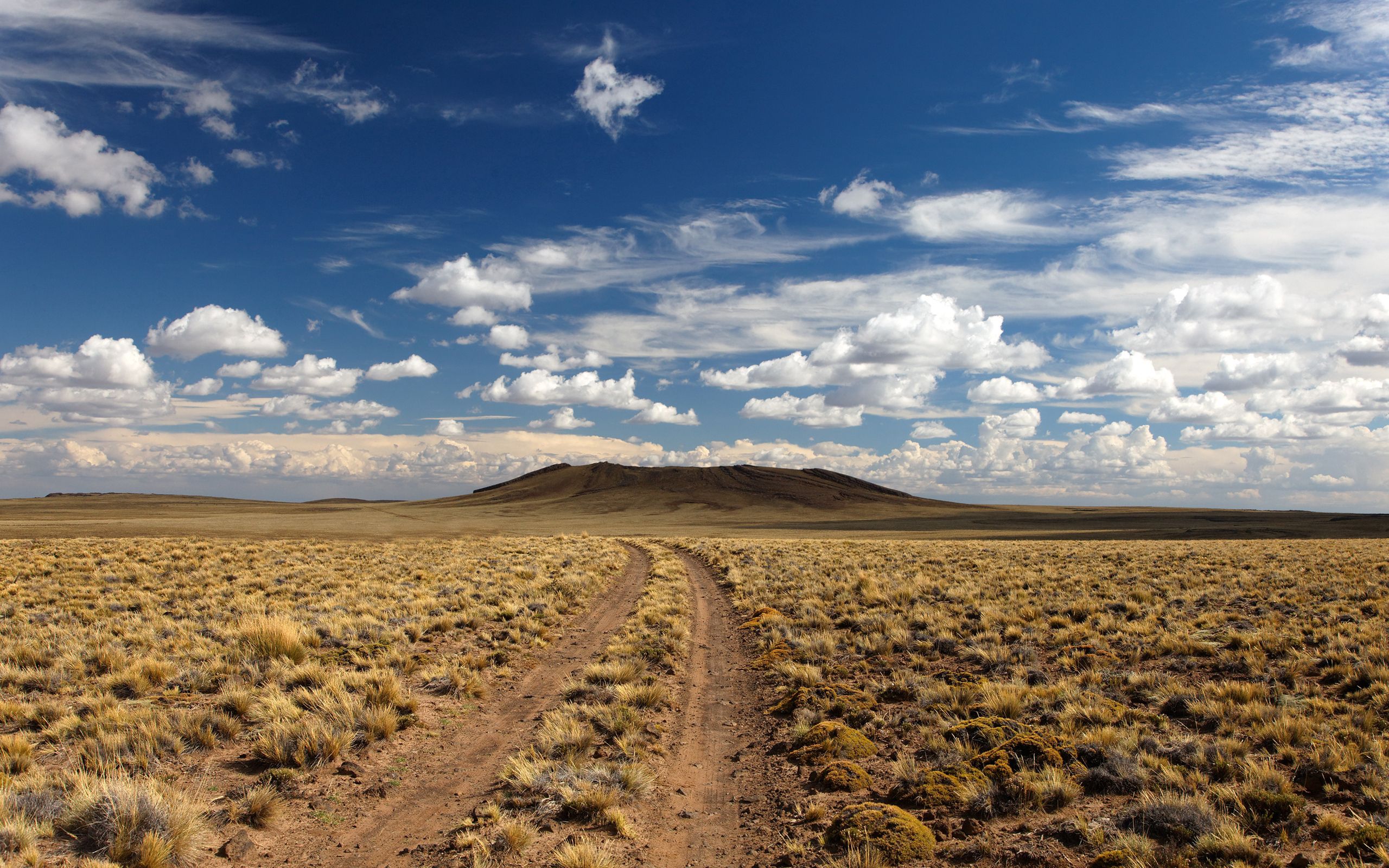 Descarga gratuita de fondo de pantalla para móvil de Naturaleza, Desierto, Vegetación, Camino.