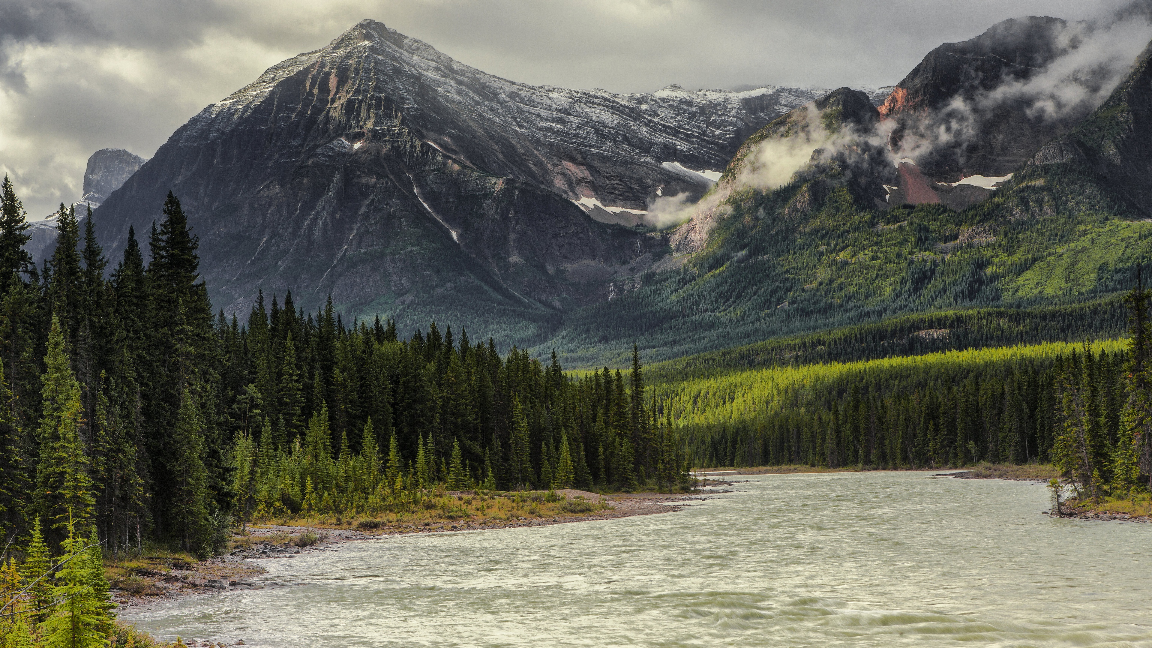 earth, river, canada, mountain, spruce HD wallpaper