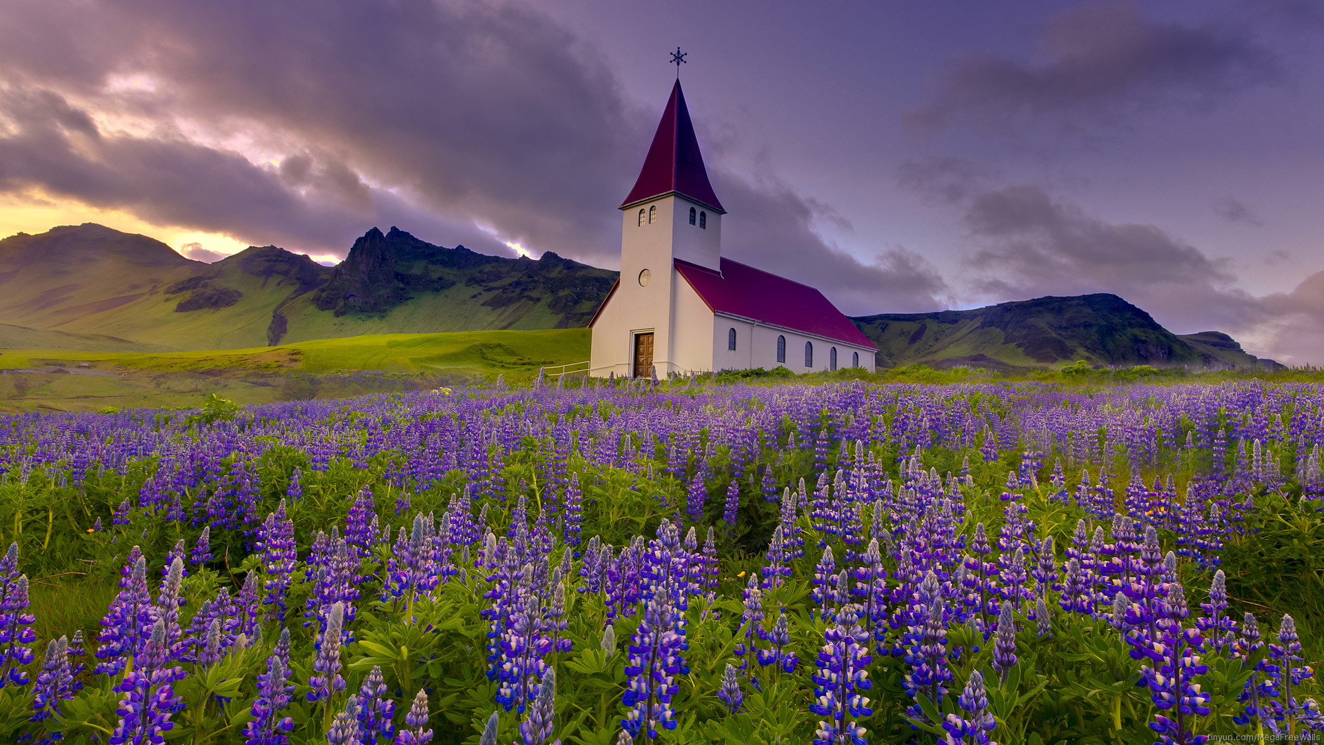church, purple flower, flower, religious, lupine, churches 2160p