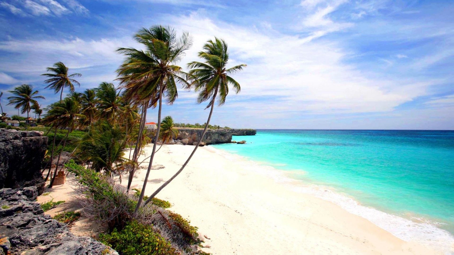 Free download wallpaper Beach, Horizon, Ocean, Tropical, Photography, Barbados, Palm Tree on your PC desktop