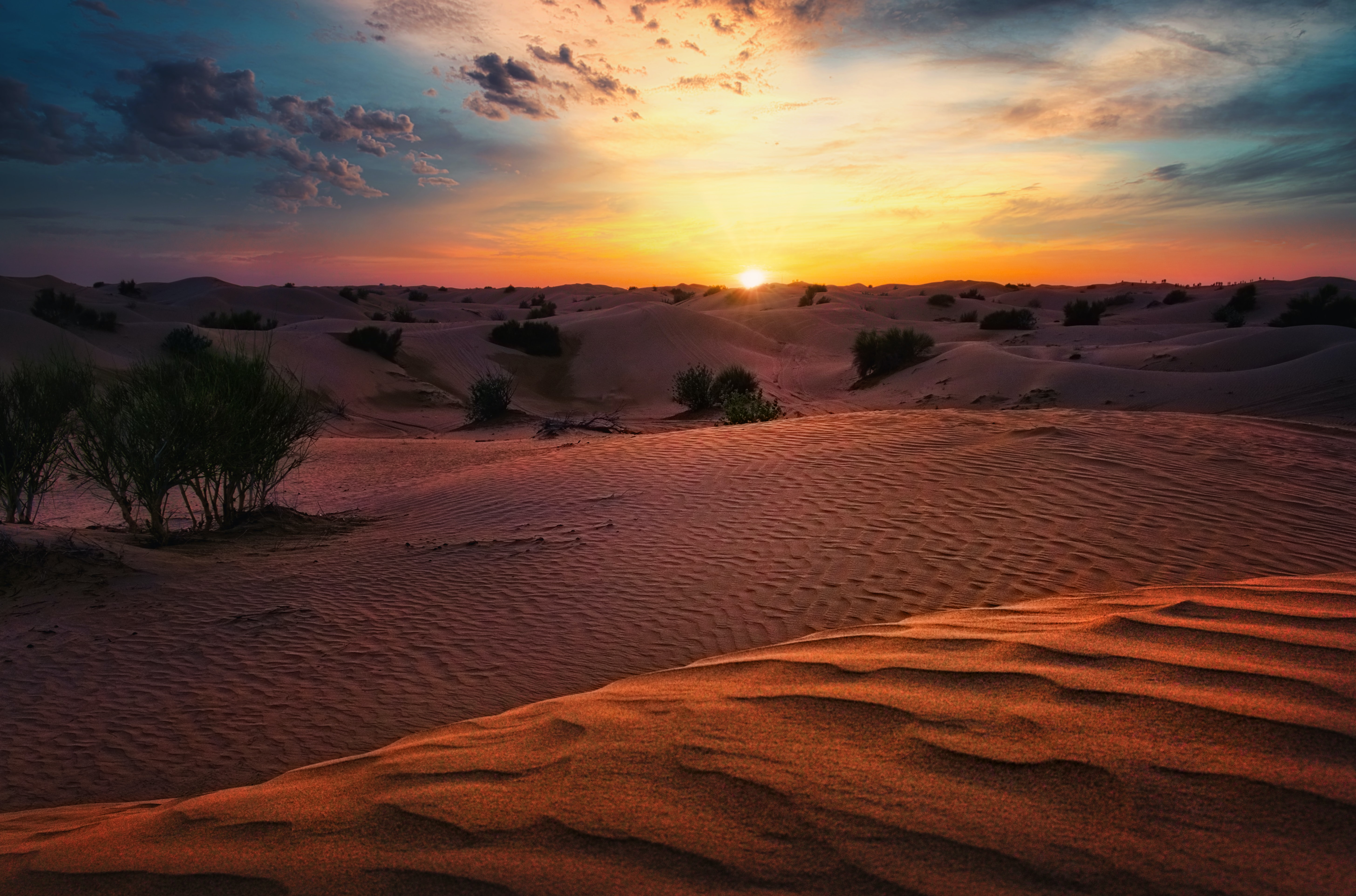 Скачать картинку Кусты, Холмы, Пустыня, Песок, Природа, Закат в телефон бесплатно.