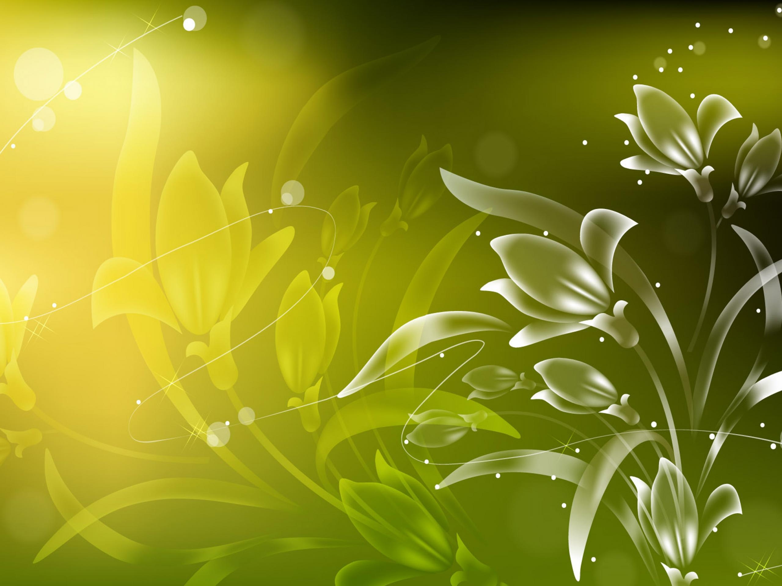 light coloured, bright, abstract, flowers, lines, light wallpapers for tablet