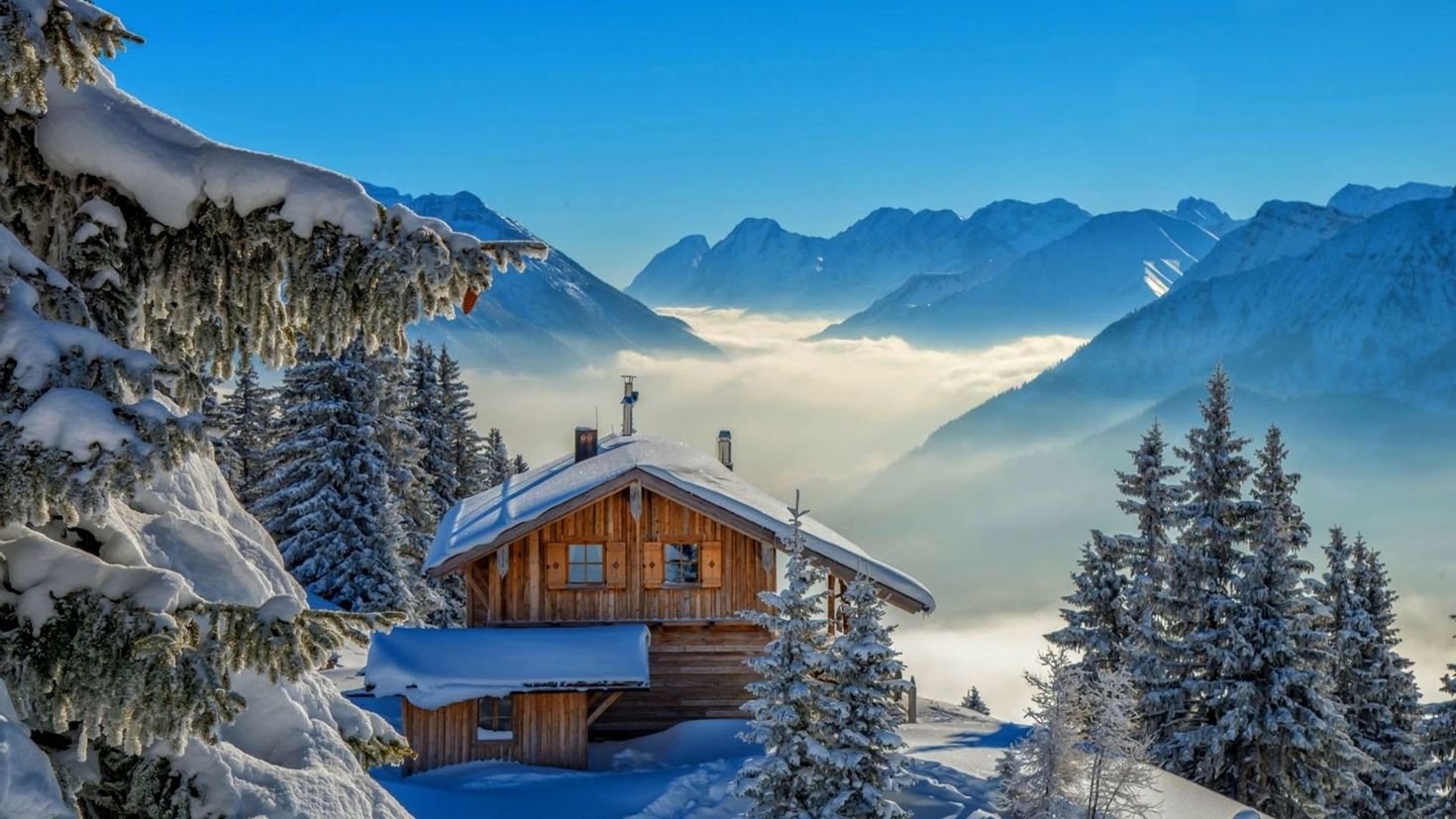 зимний лес швейцарии
