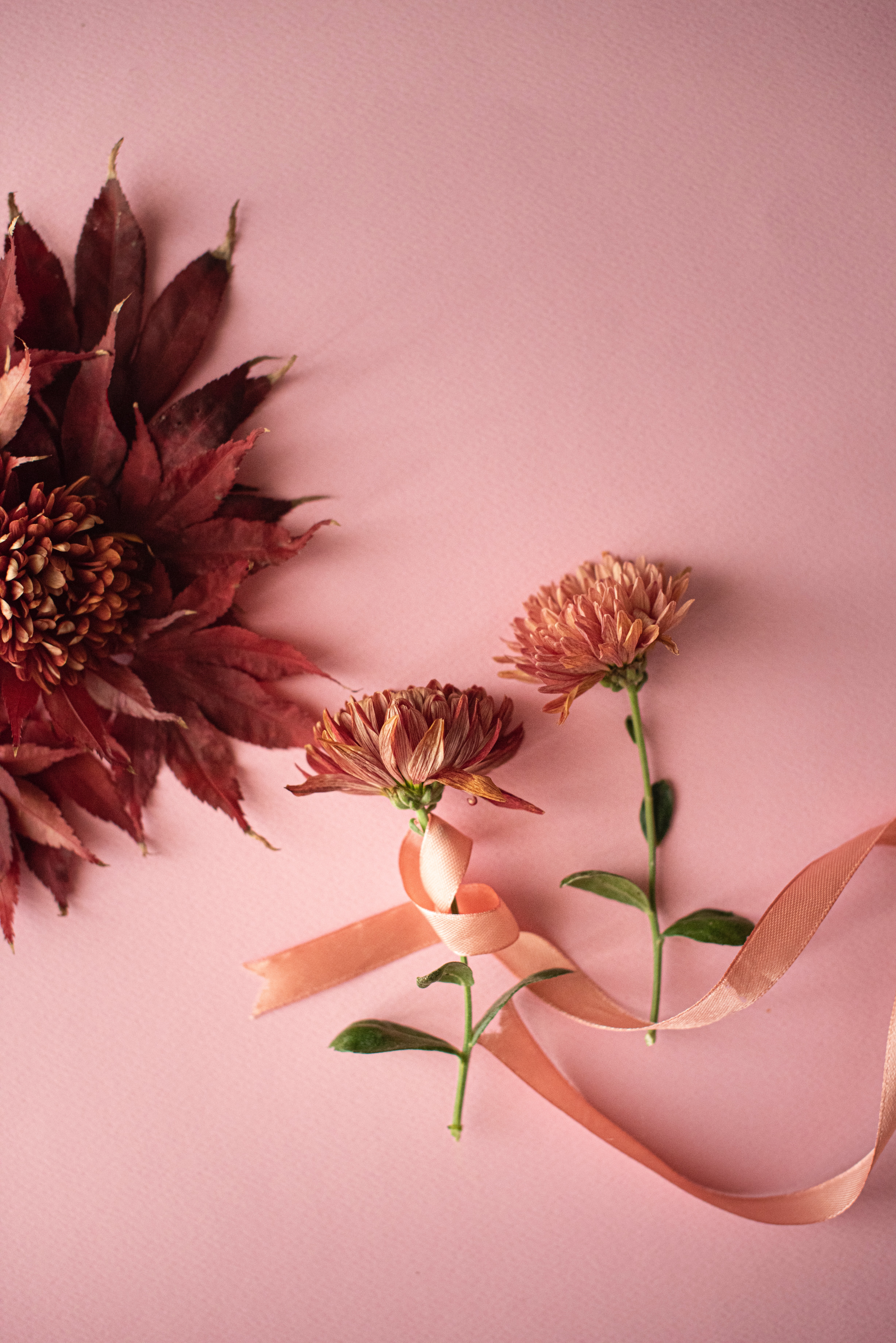 Handy-Wallpaper Blätter, Dekoration, Band, Blumen kostenlos herunterladen.