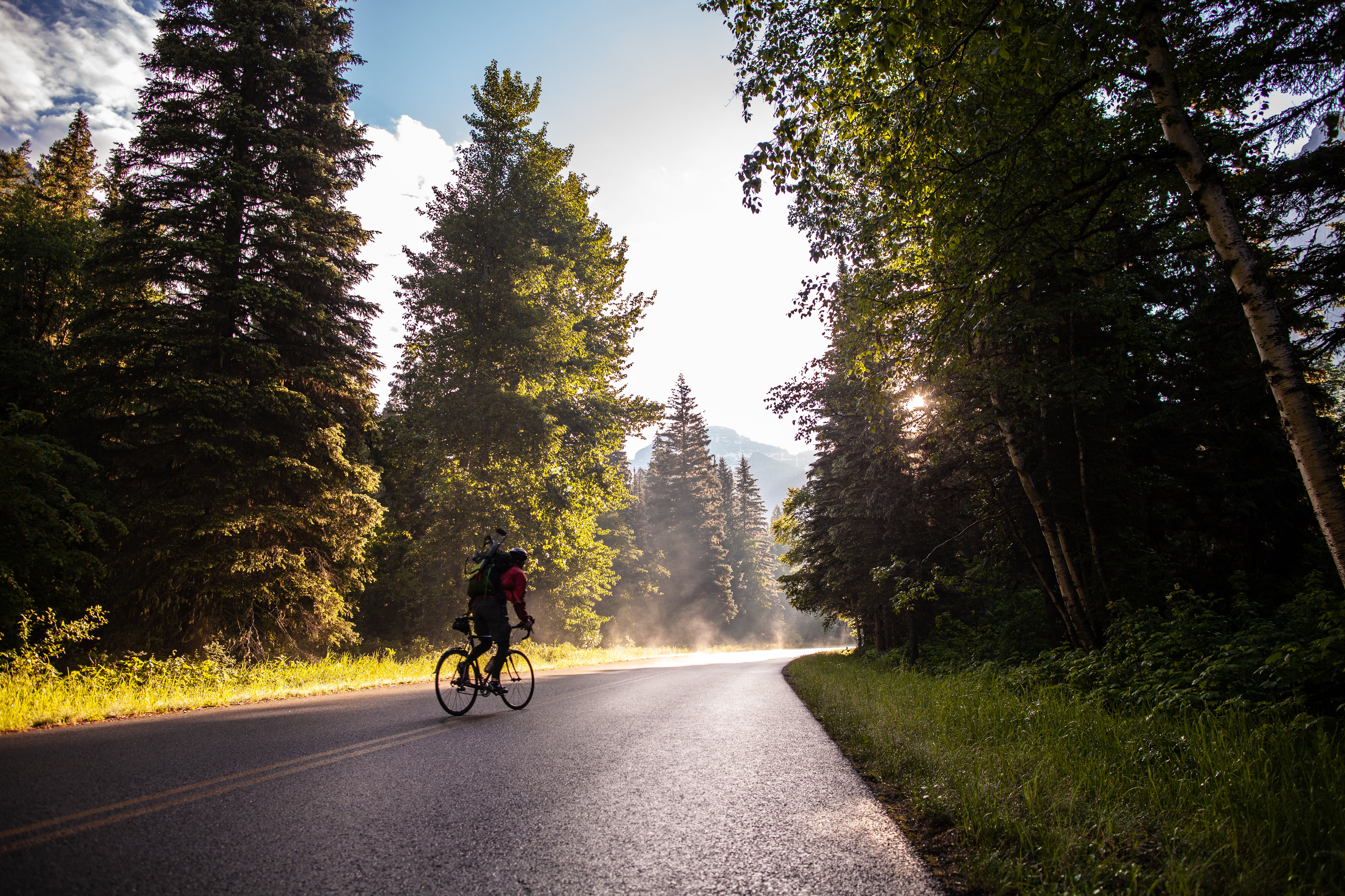 sports, trees, road, bicycle, cyclist, tourist HD wallpaper