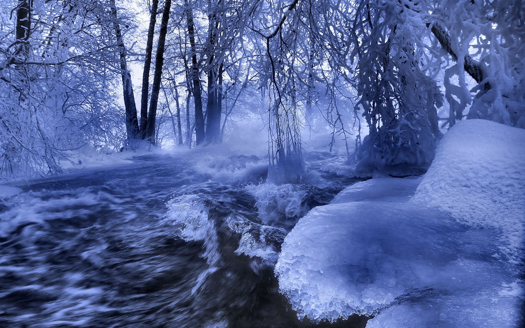 flow, nature, water, rivers, trees, ice, waves, branches, branch, frost, hoarfrost, stream 1080p