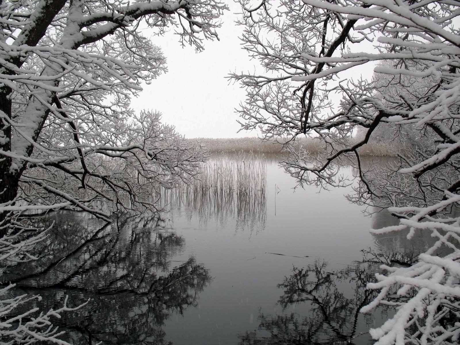 Download mobile wallpaper Landscape, Winter, Lakes, Water, Trees for free.