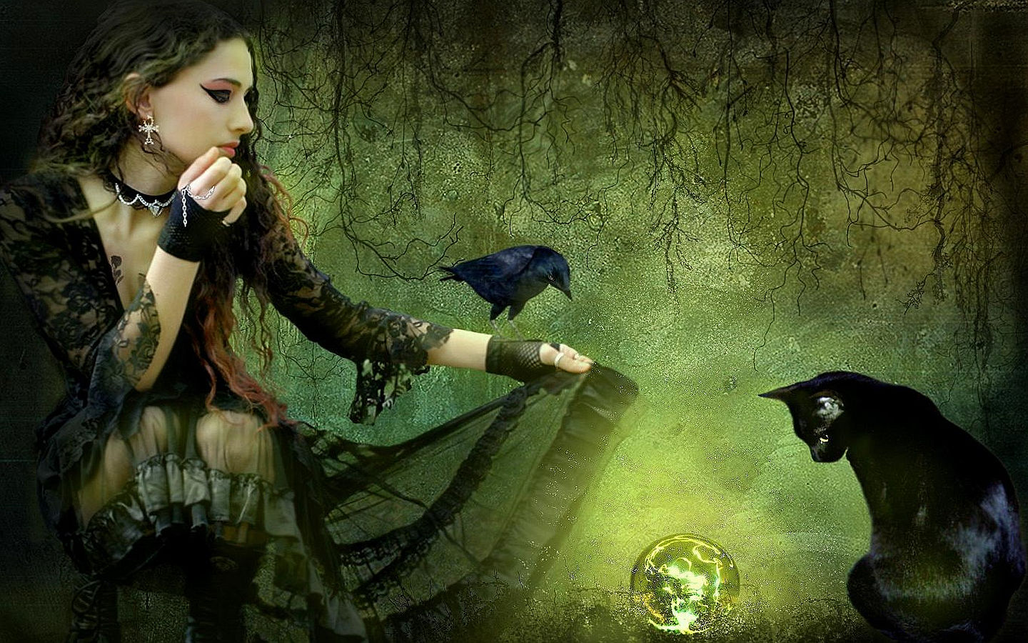 witch, fantasy, cat HD wallpaper