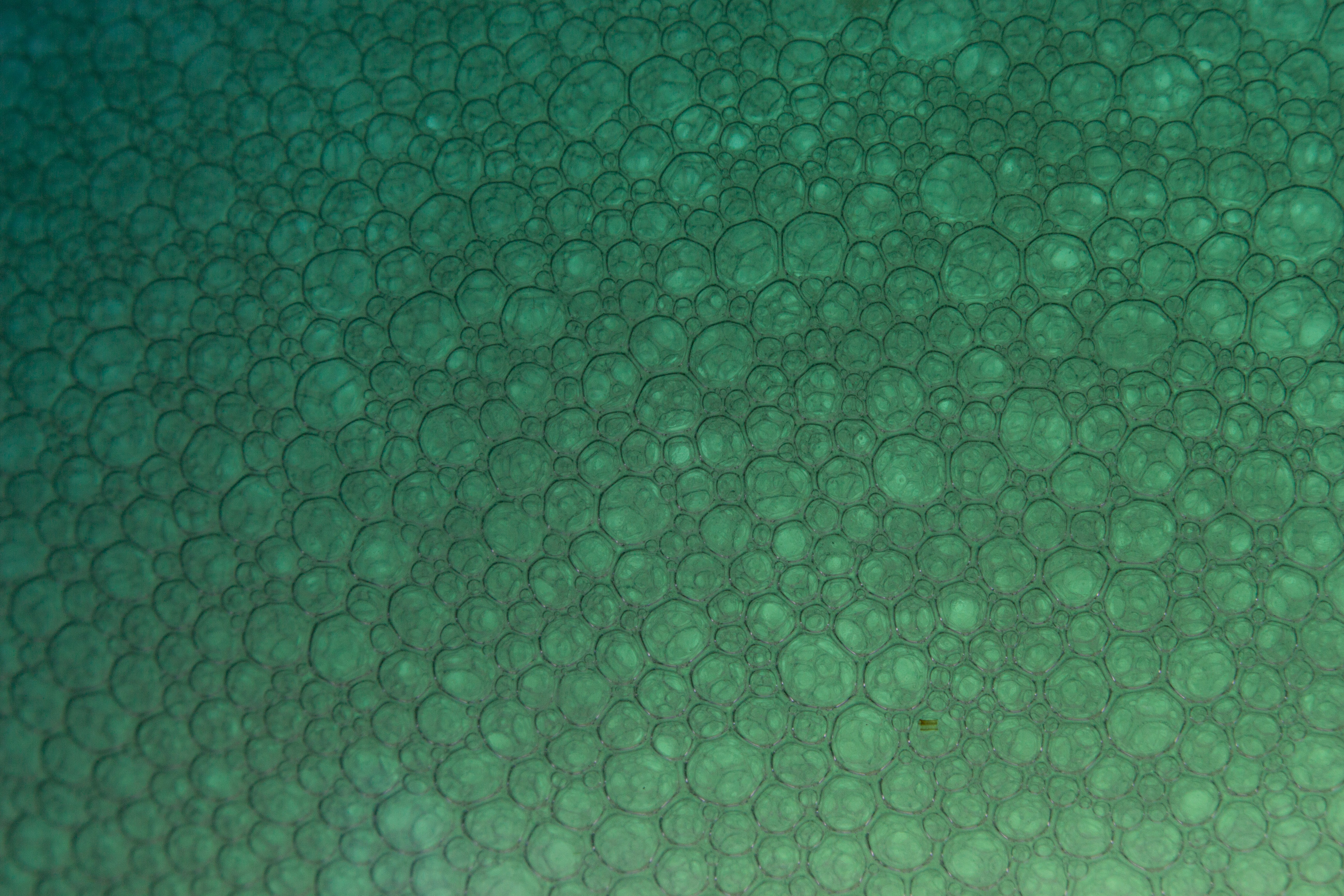 bubbles, abstract, pattern, particles phone wallpaper