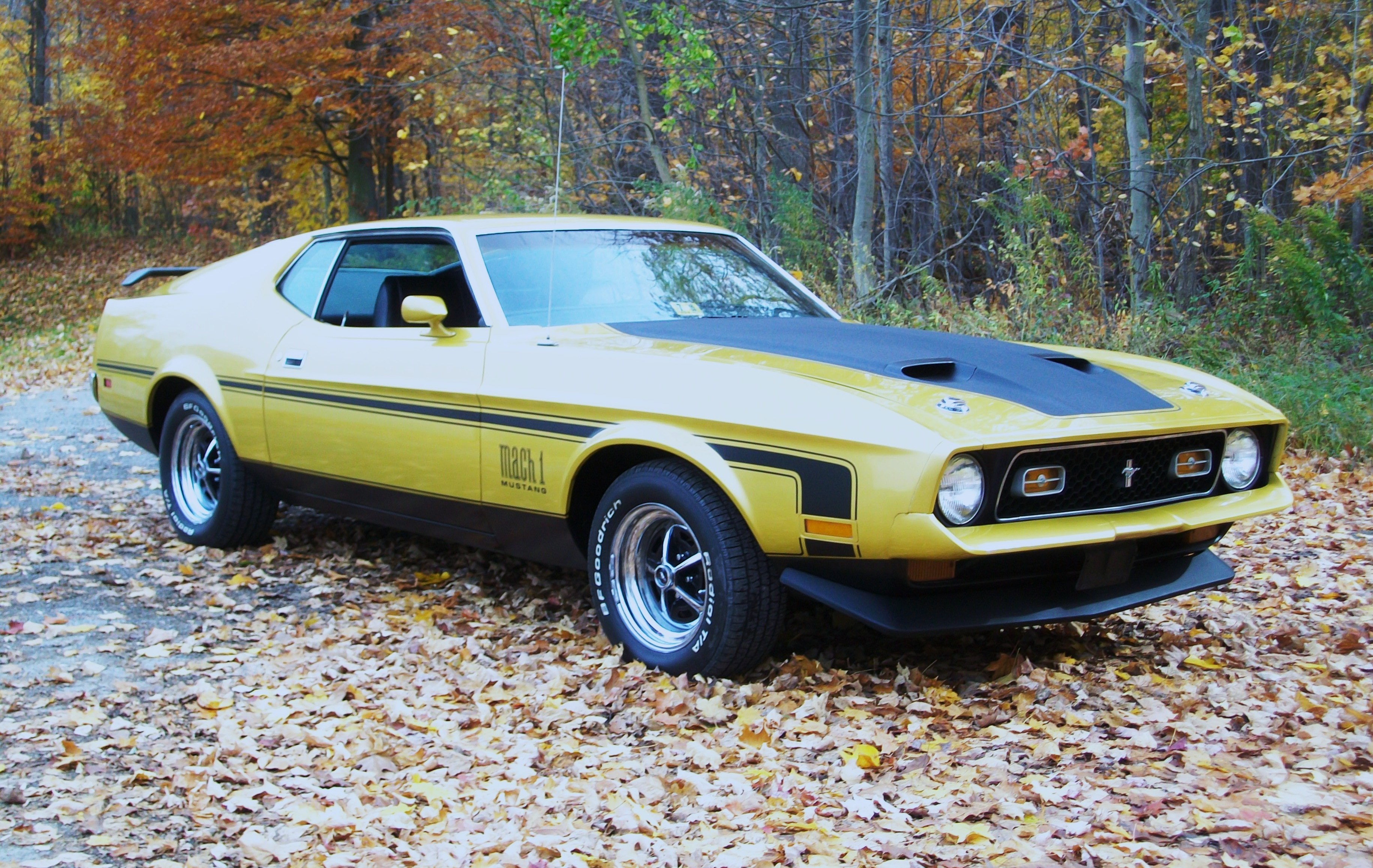 Ford Mustang Mach 1