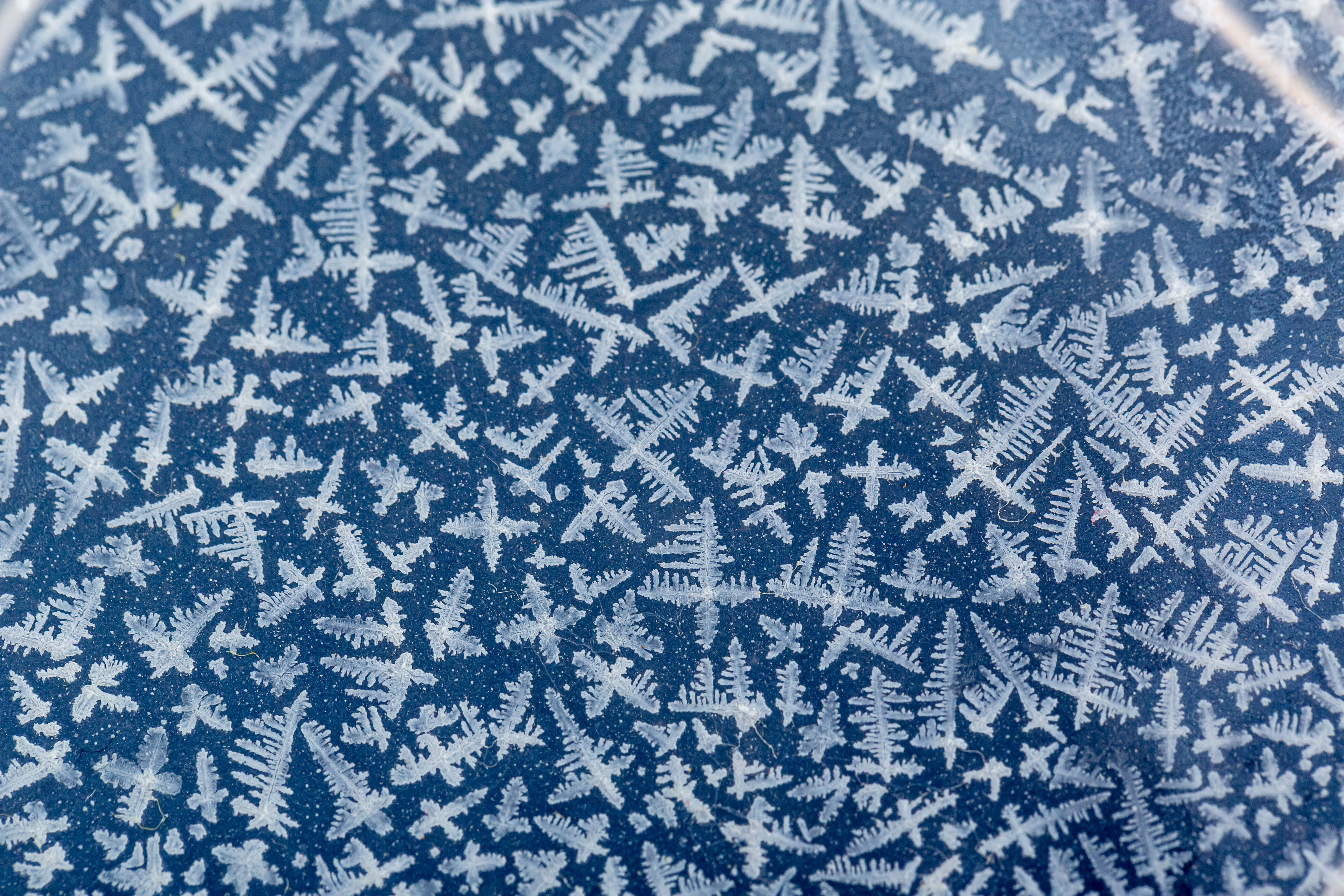 Download mobile wallpaper Frost, Hoarfrost, Macro, Surface for free.