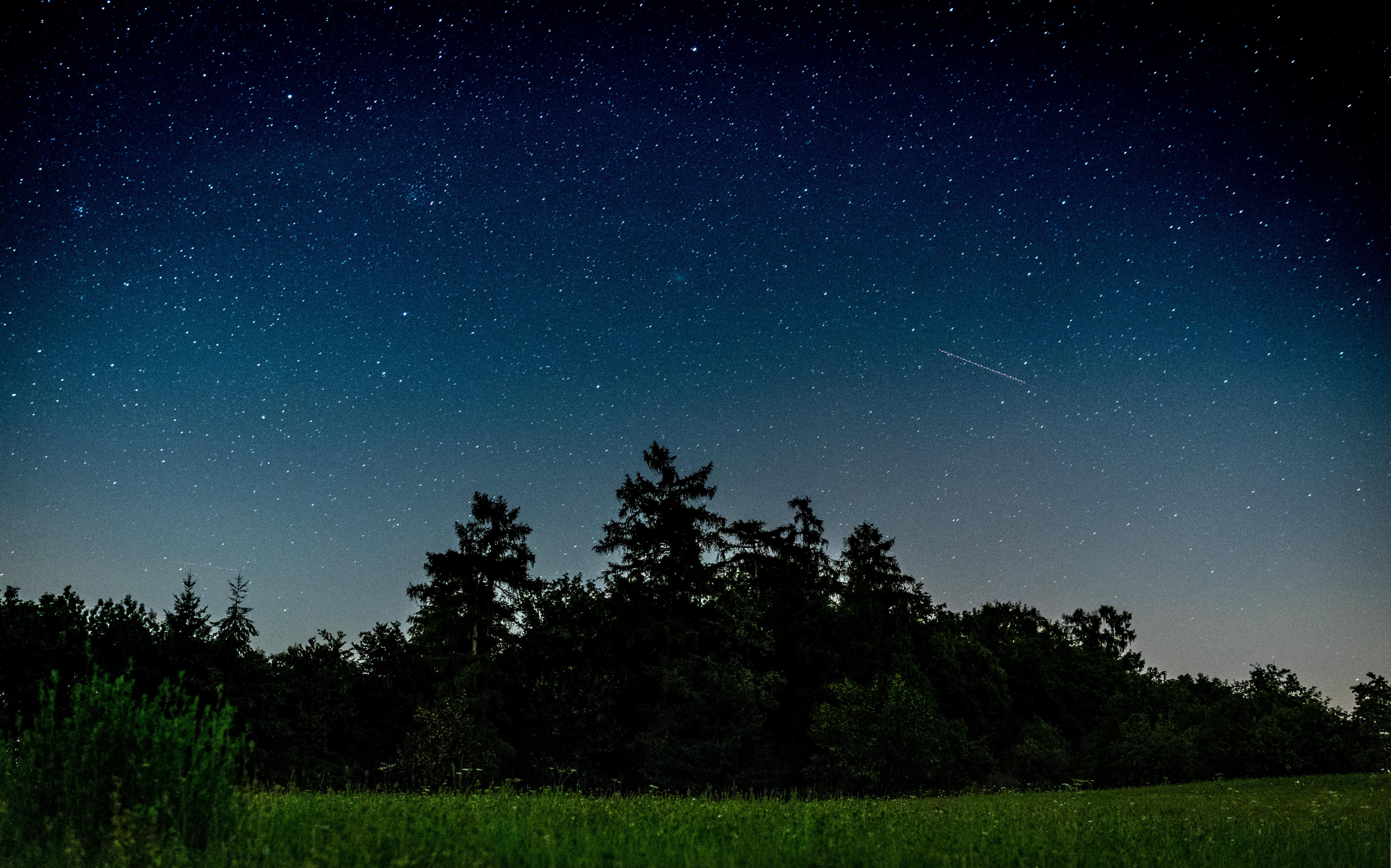 Free download wallpaper Night, Field, Nature, Trees, Starry Sky on your PC desktop